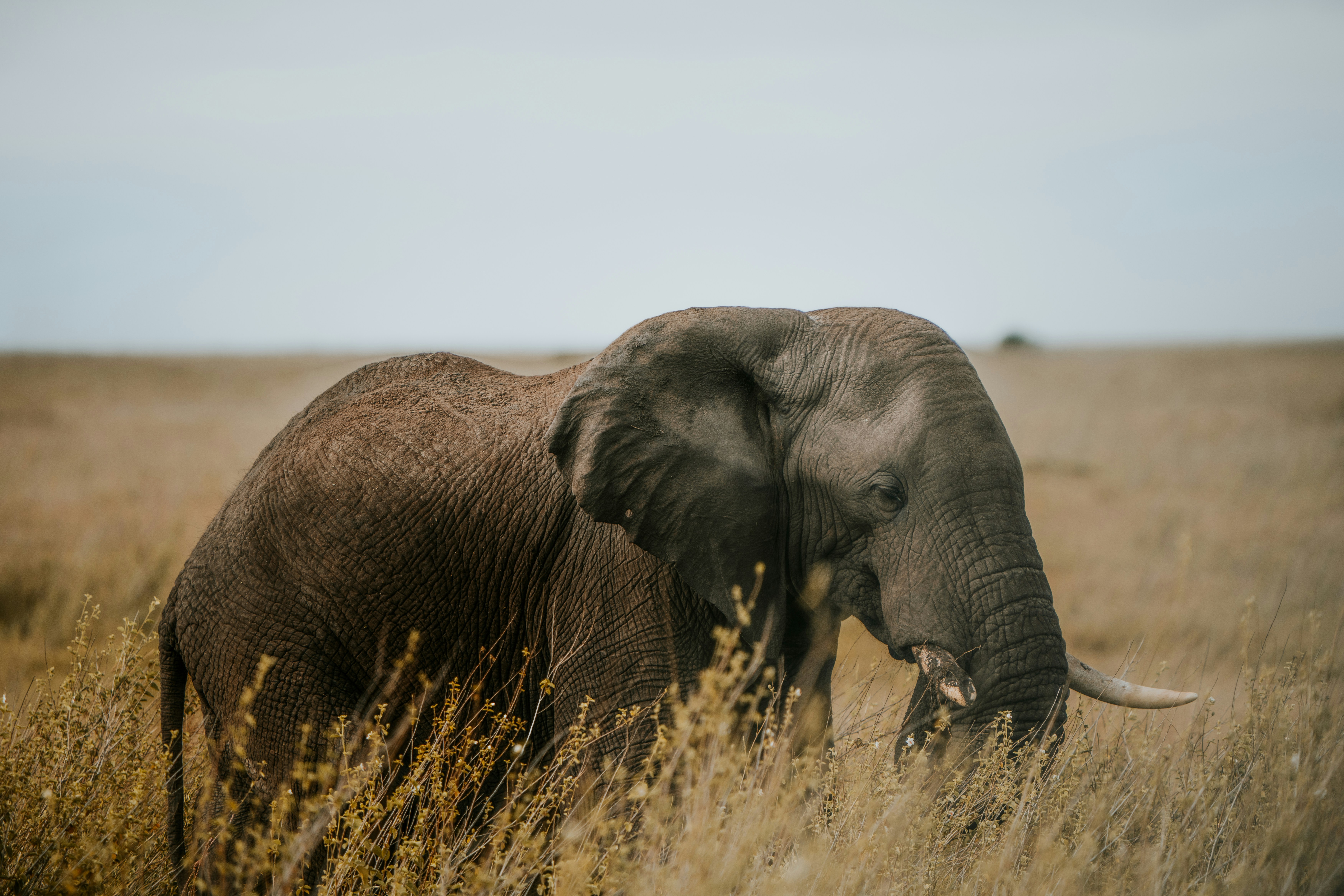 Photo by matthewryanstephenson