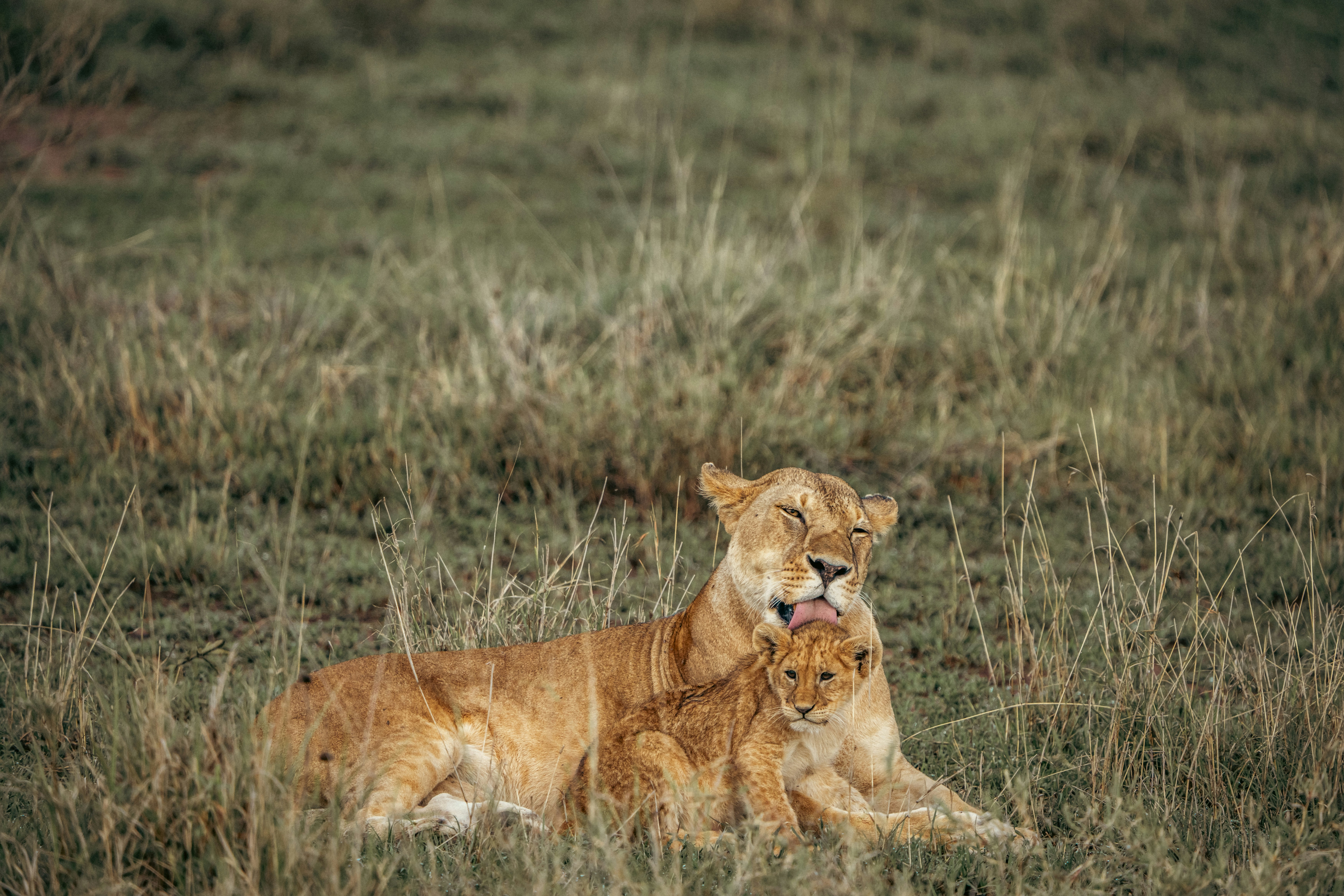 Photo by matthewryanstephenson