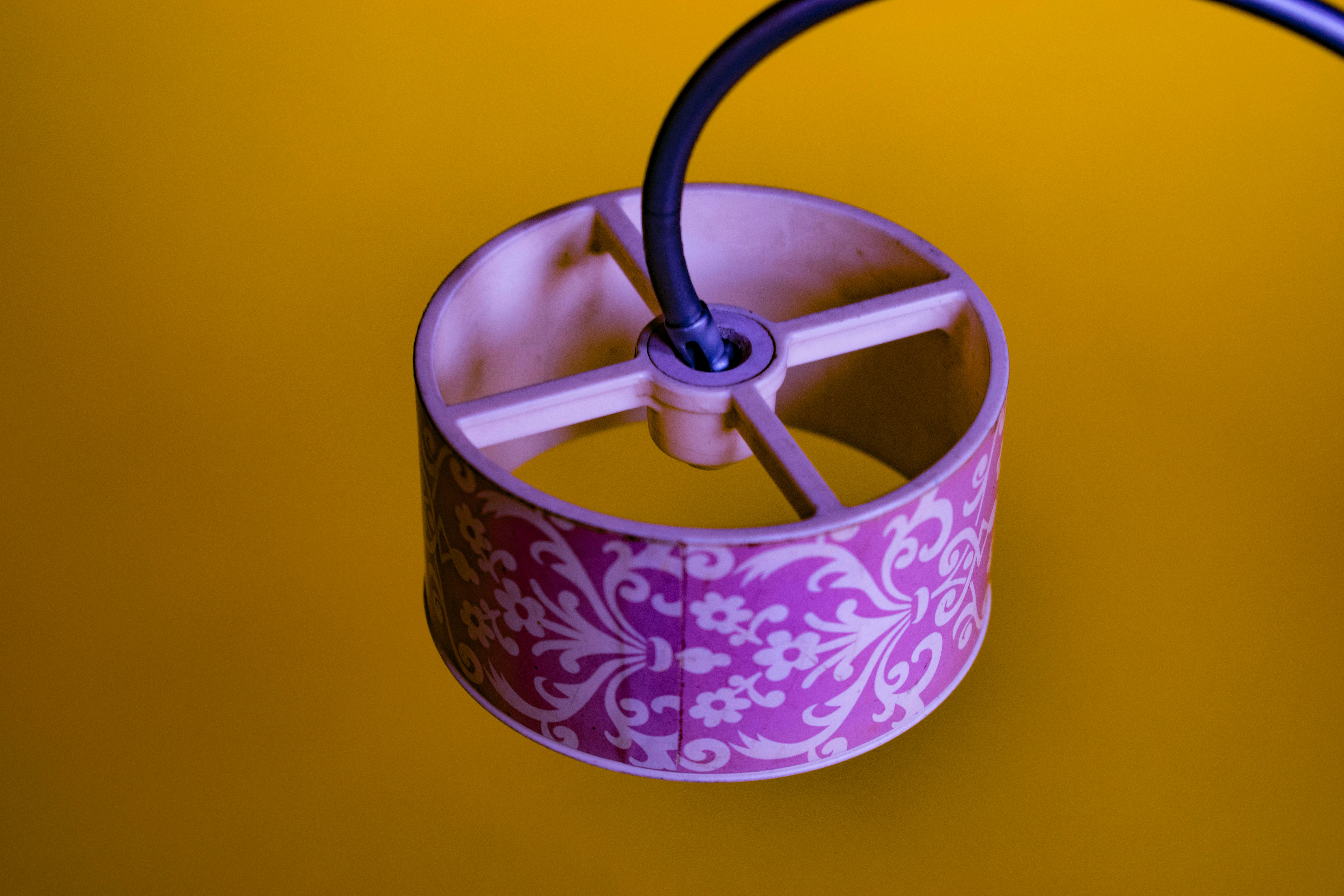 Photo by aleezayashfaq