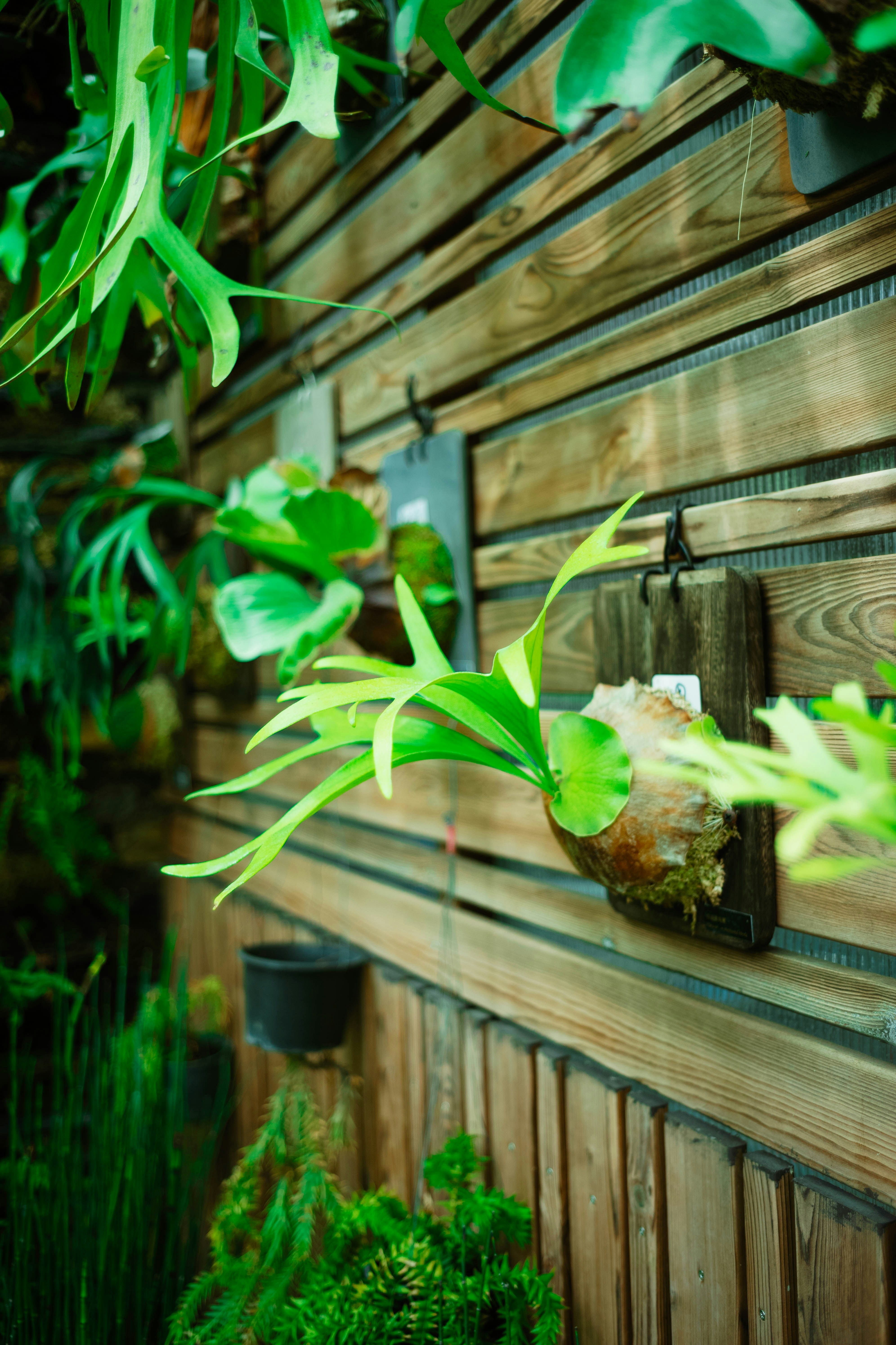 Photo by tommaomaoer