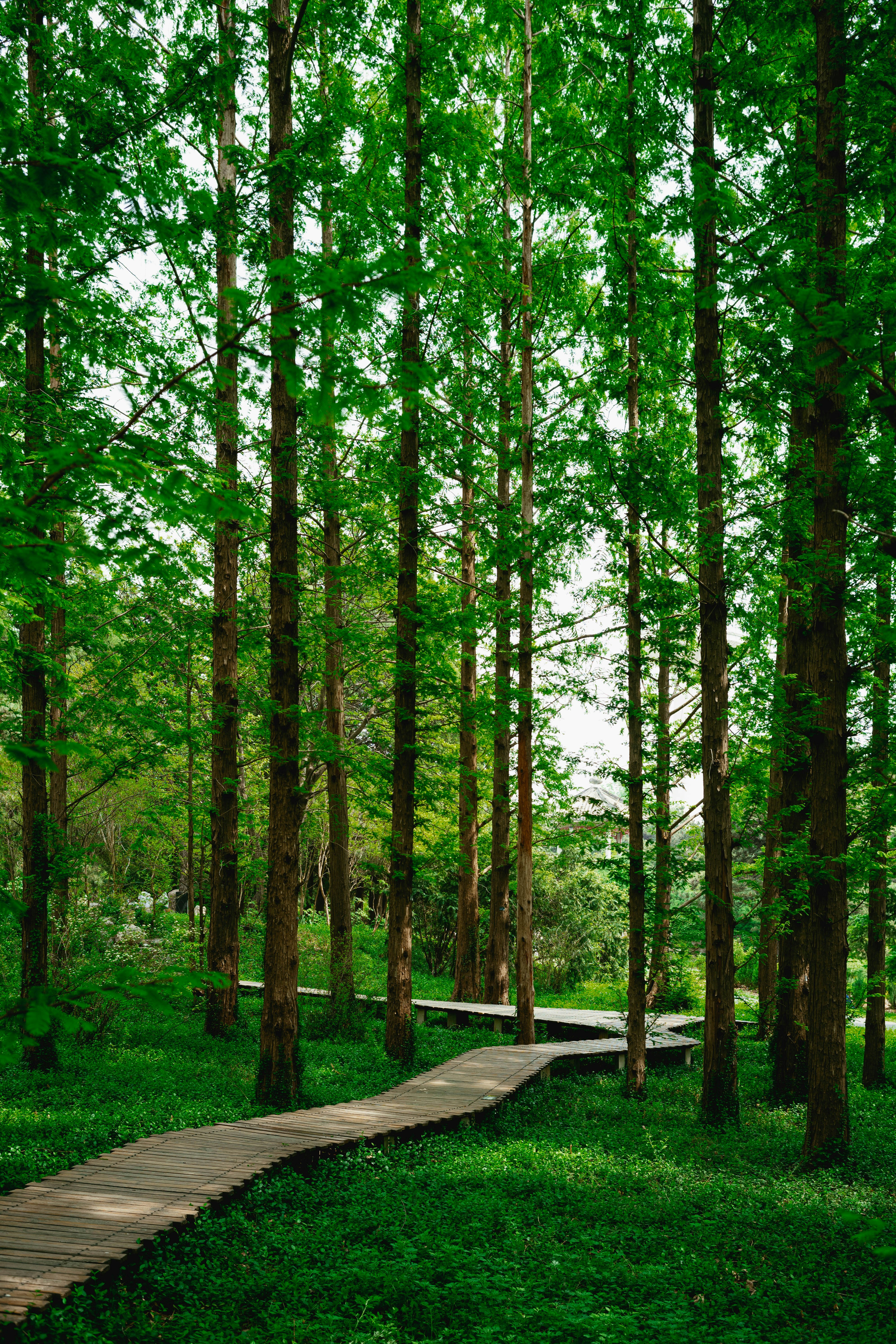 Photo by tommaomaoer