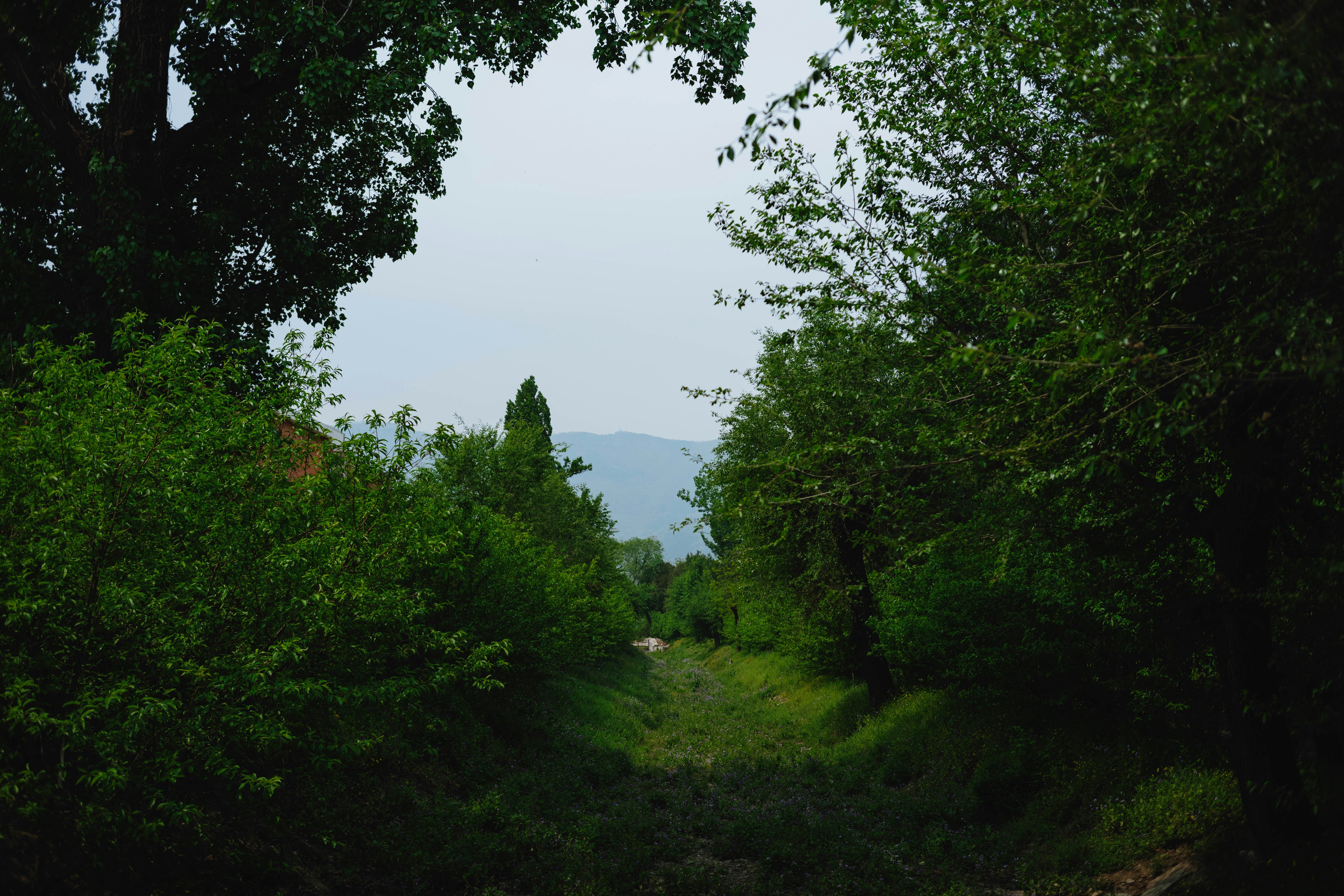 Photo by tommaomaoer