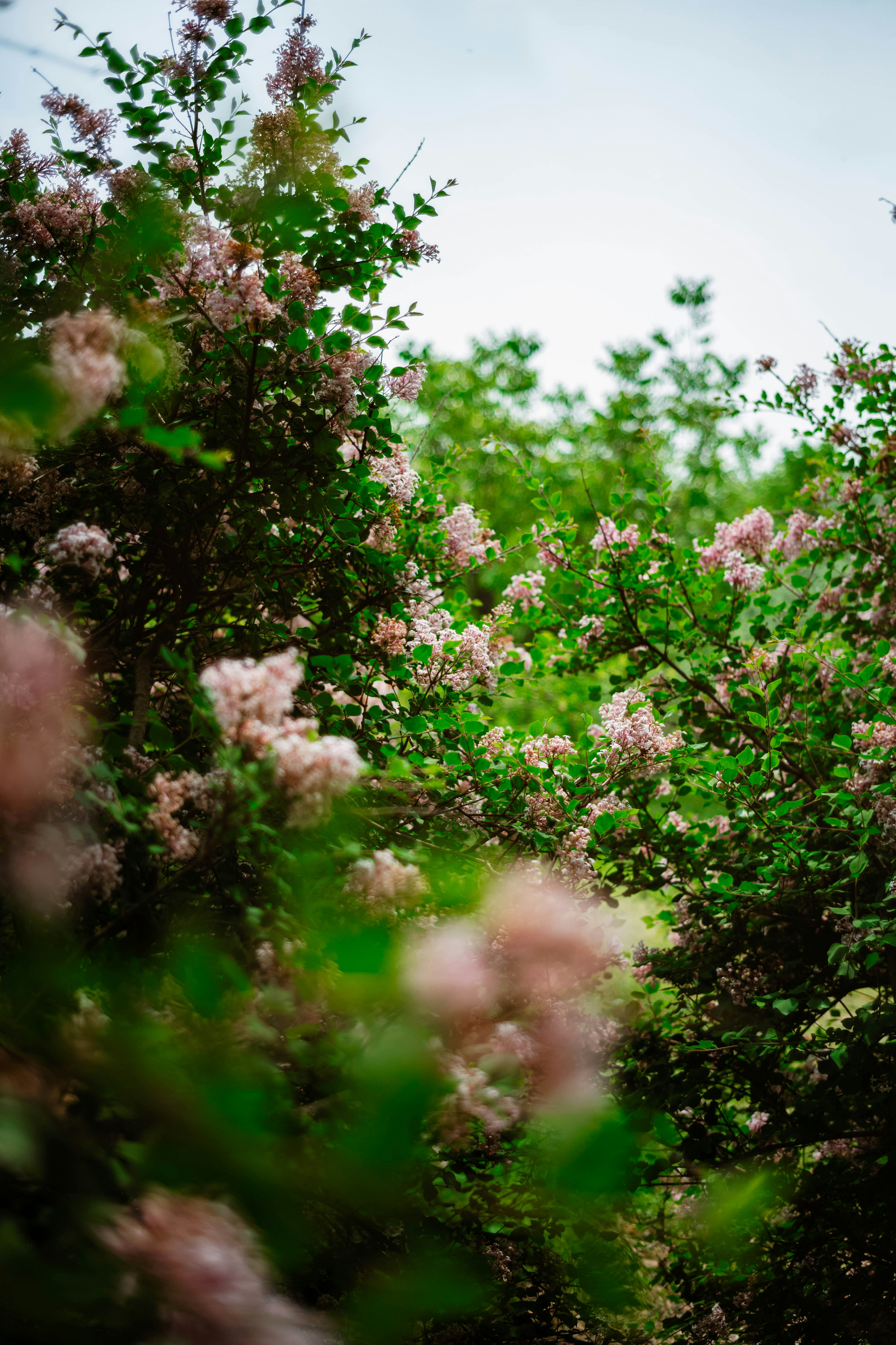 Photo by tommaomaoer