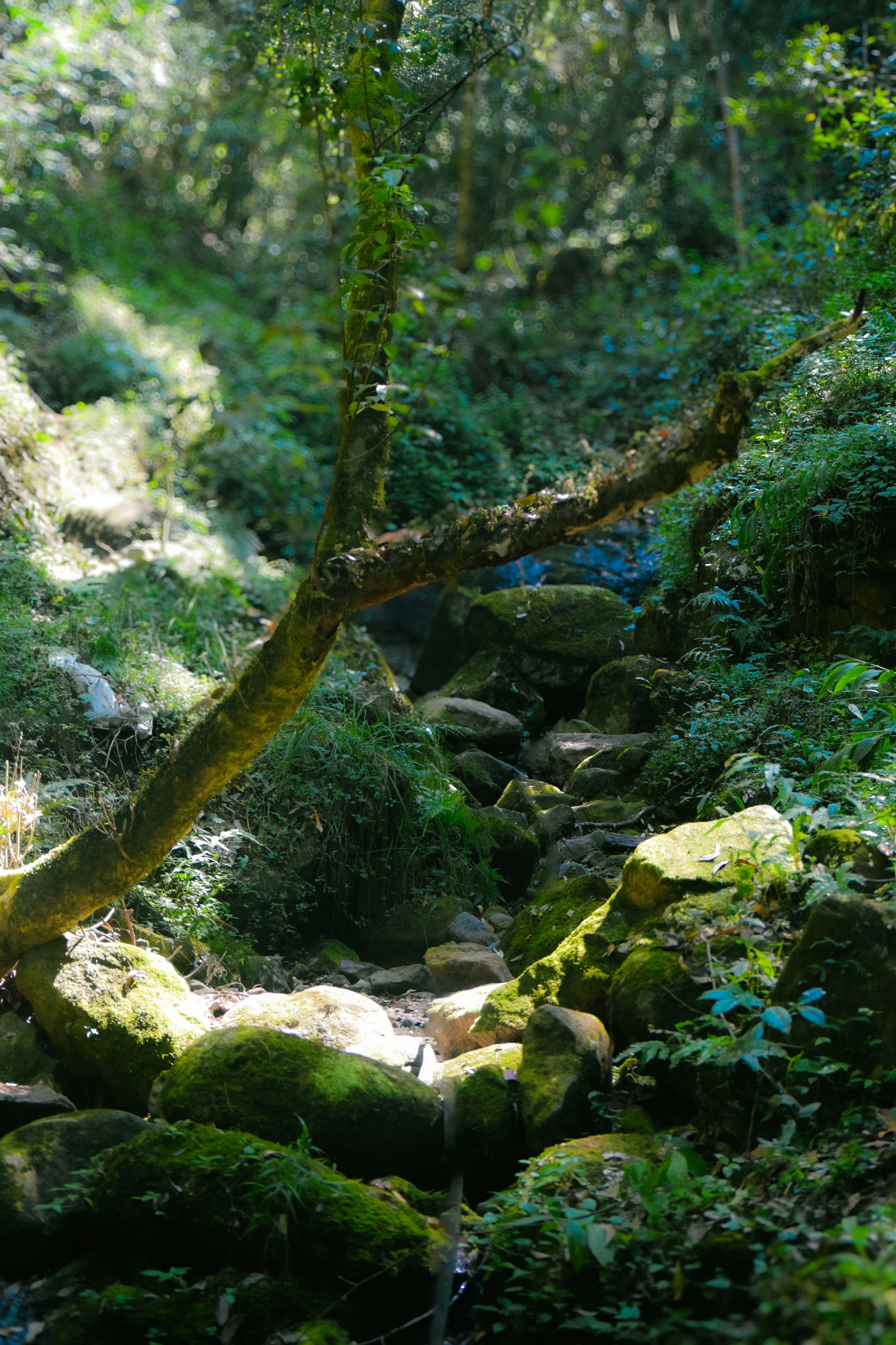 Photo by farsanamanaf