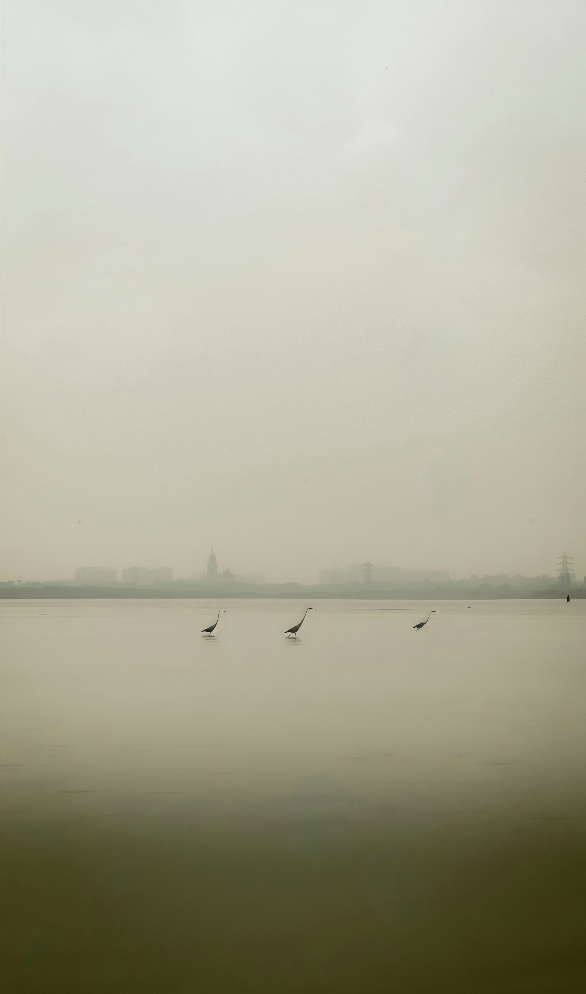 Three fishing nets in a hazy water landscape.