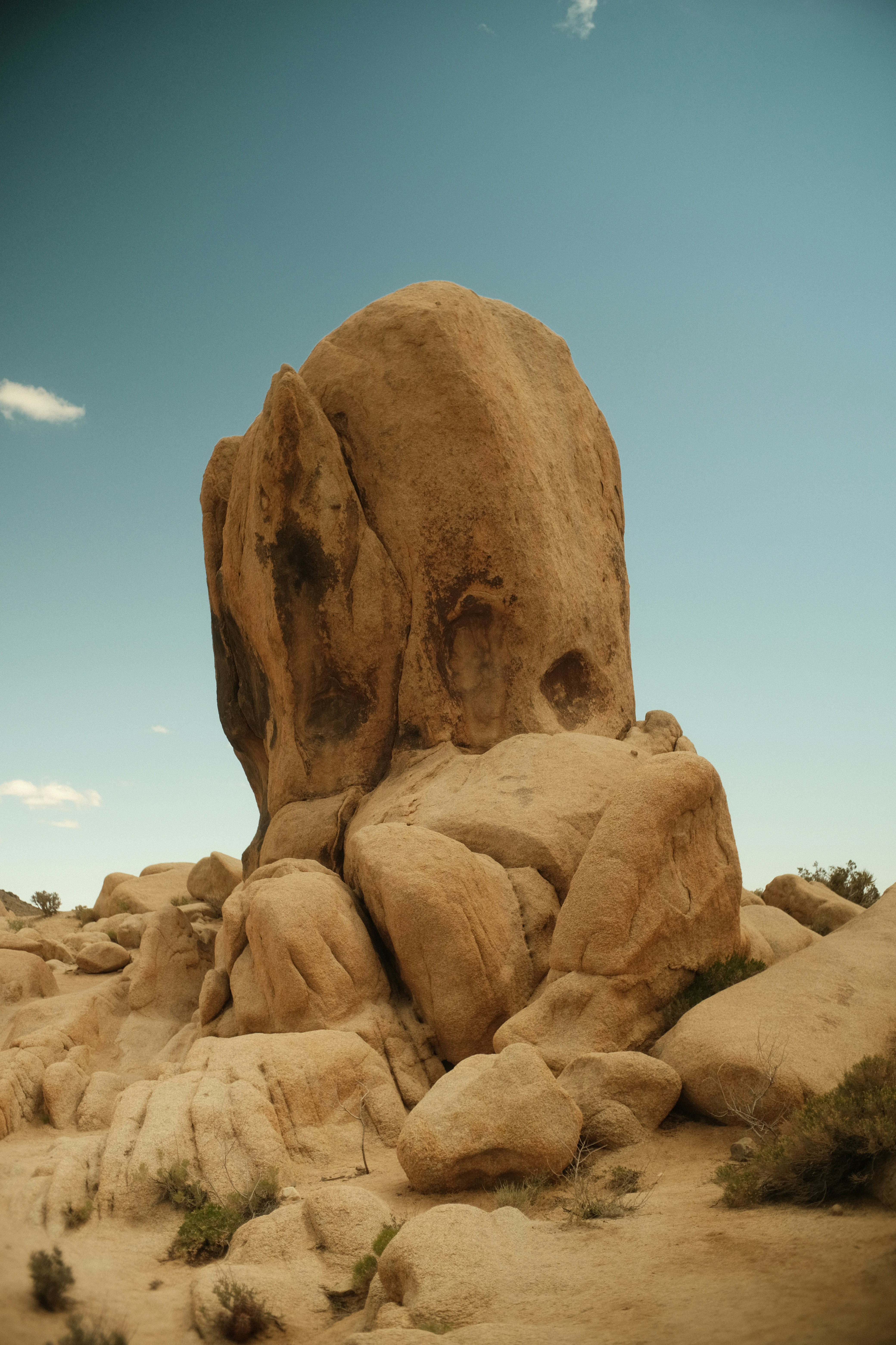 Photo by patrickkonior