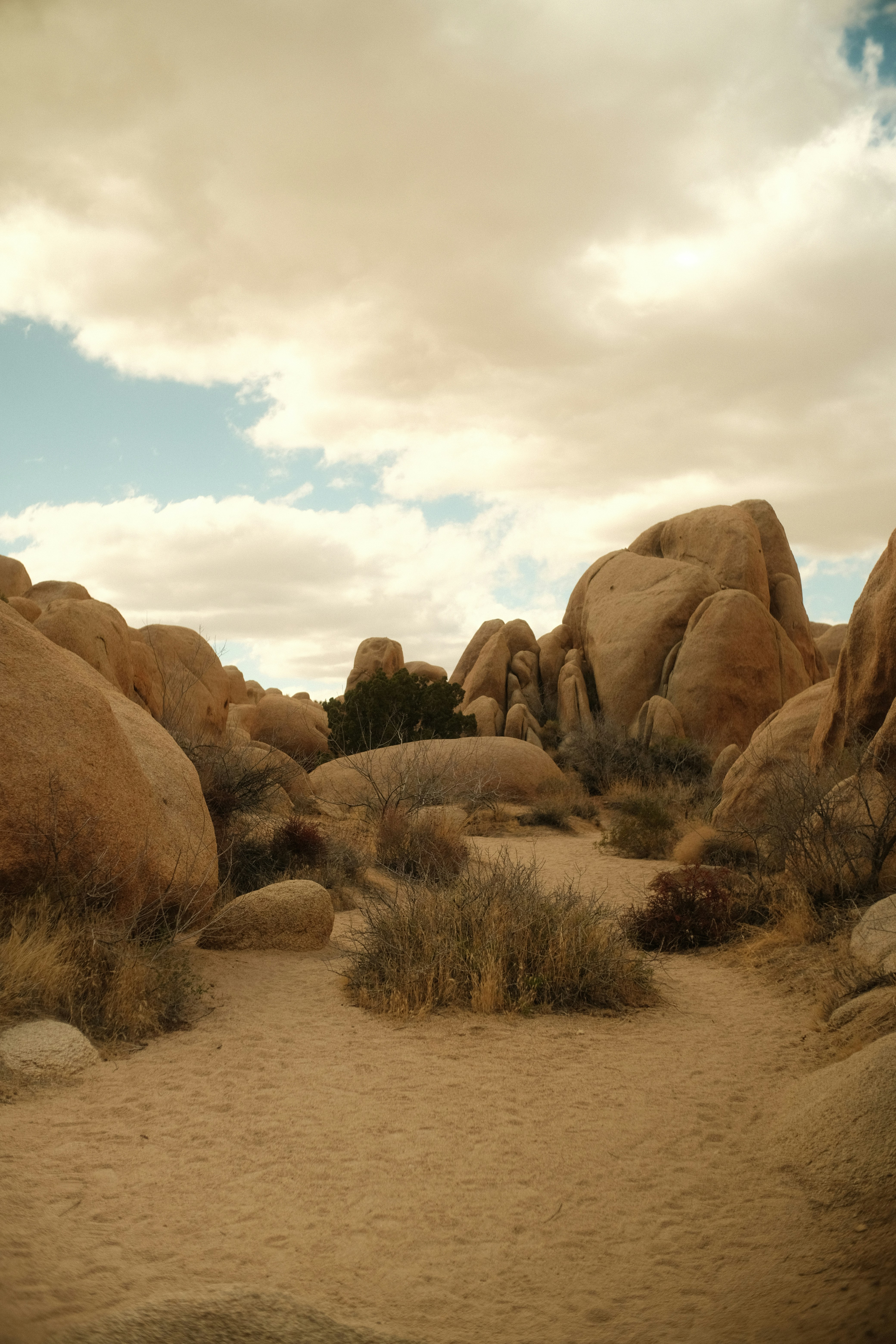 Photo by patrickkonior