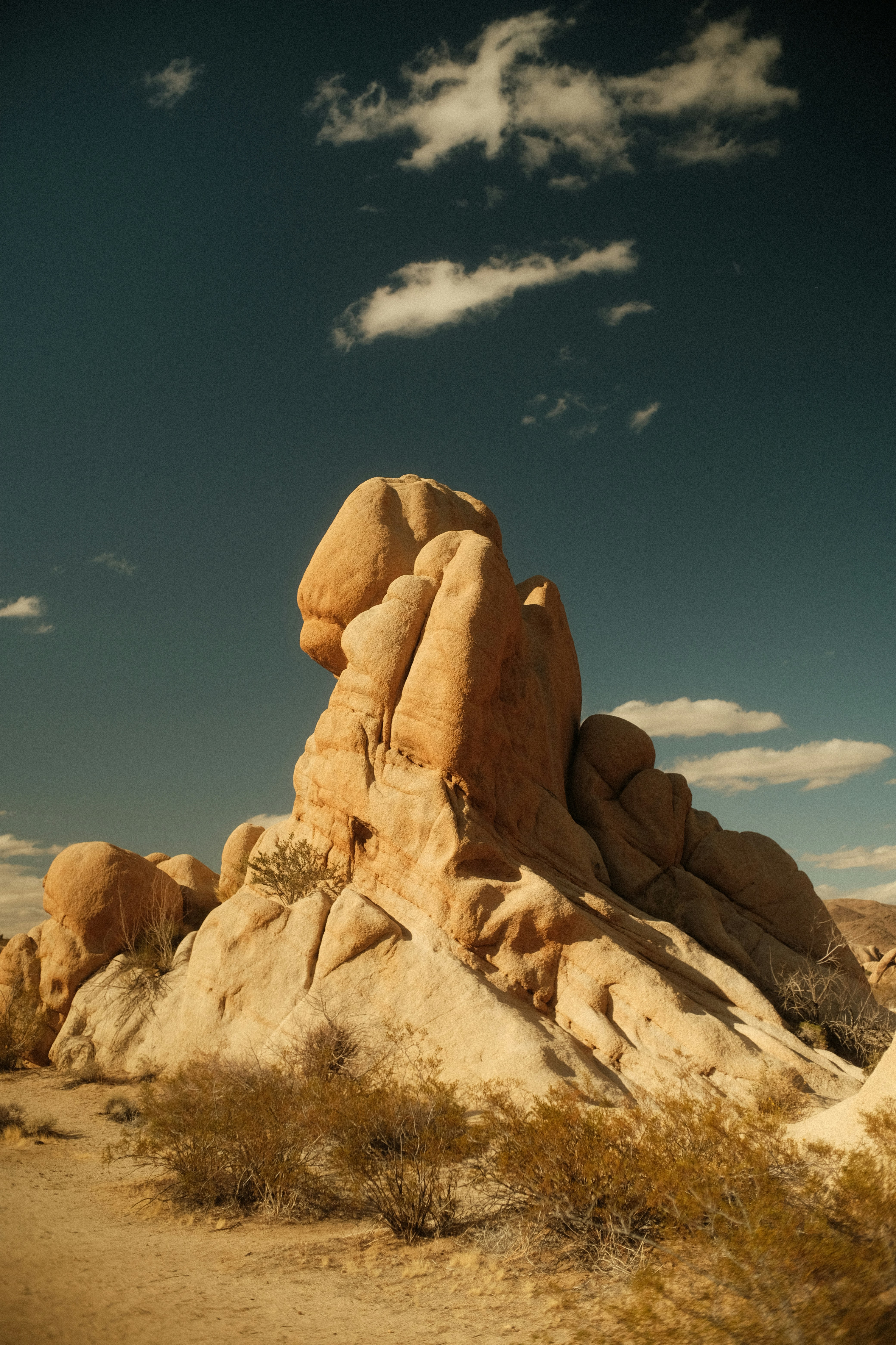 Photo by patrickkonior