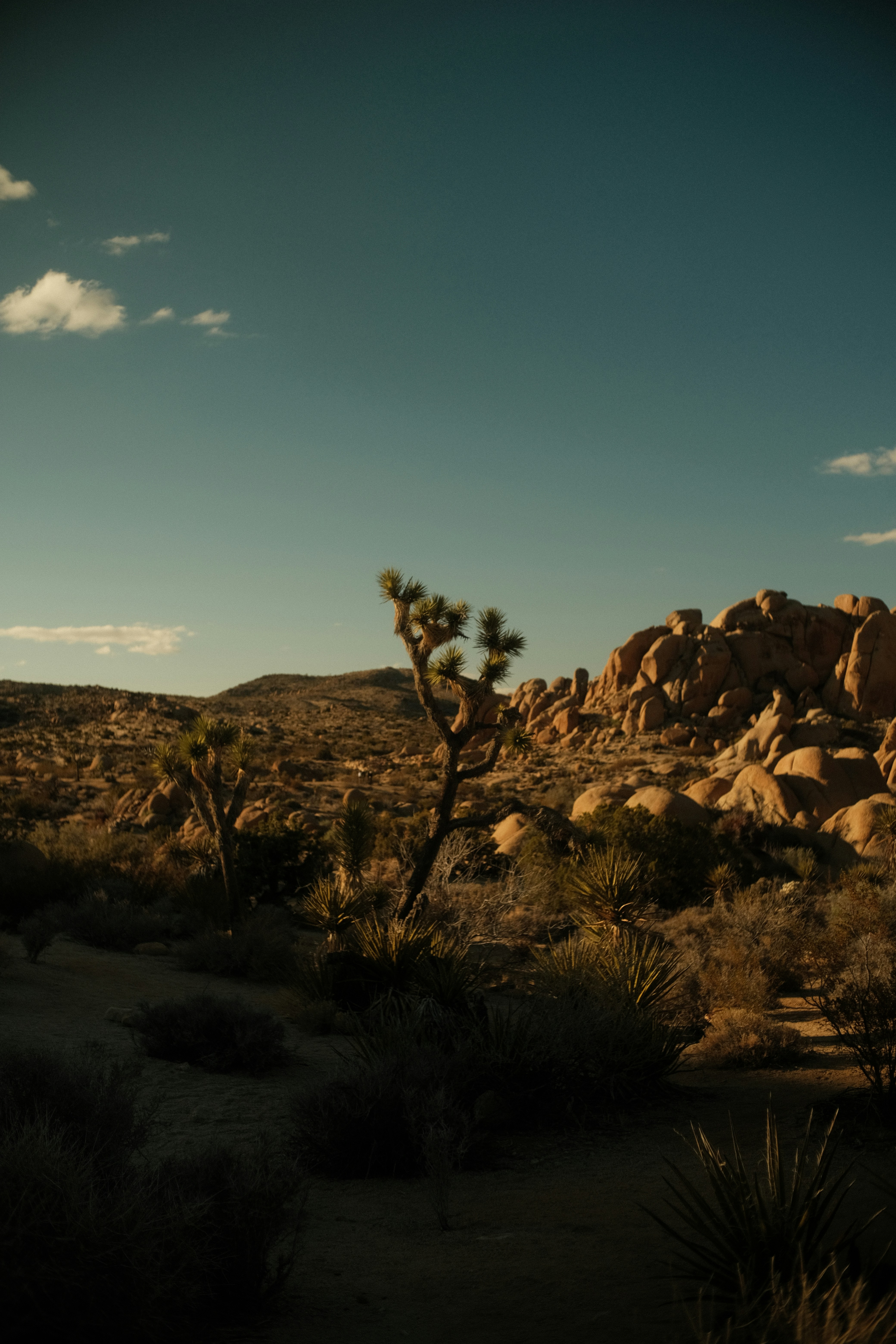 Desert landscape under a bright blue sky.
