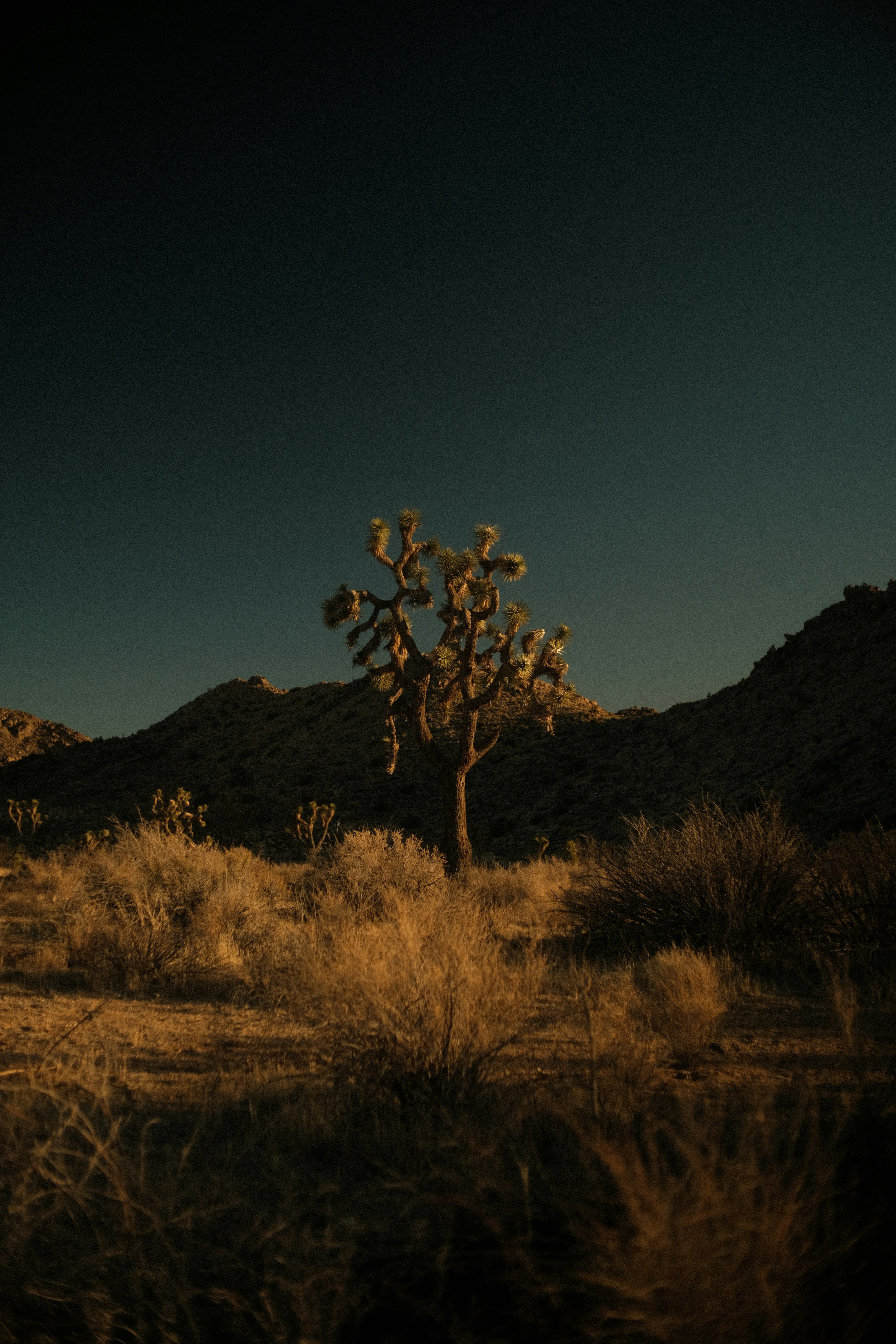 Photo by patrickkonior