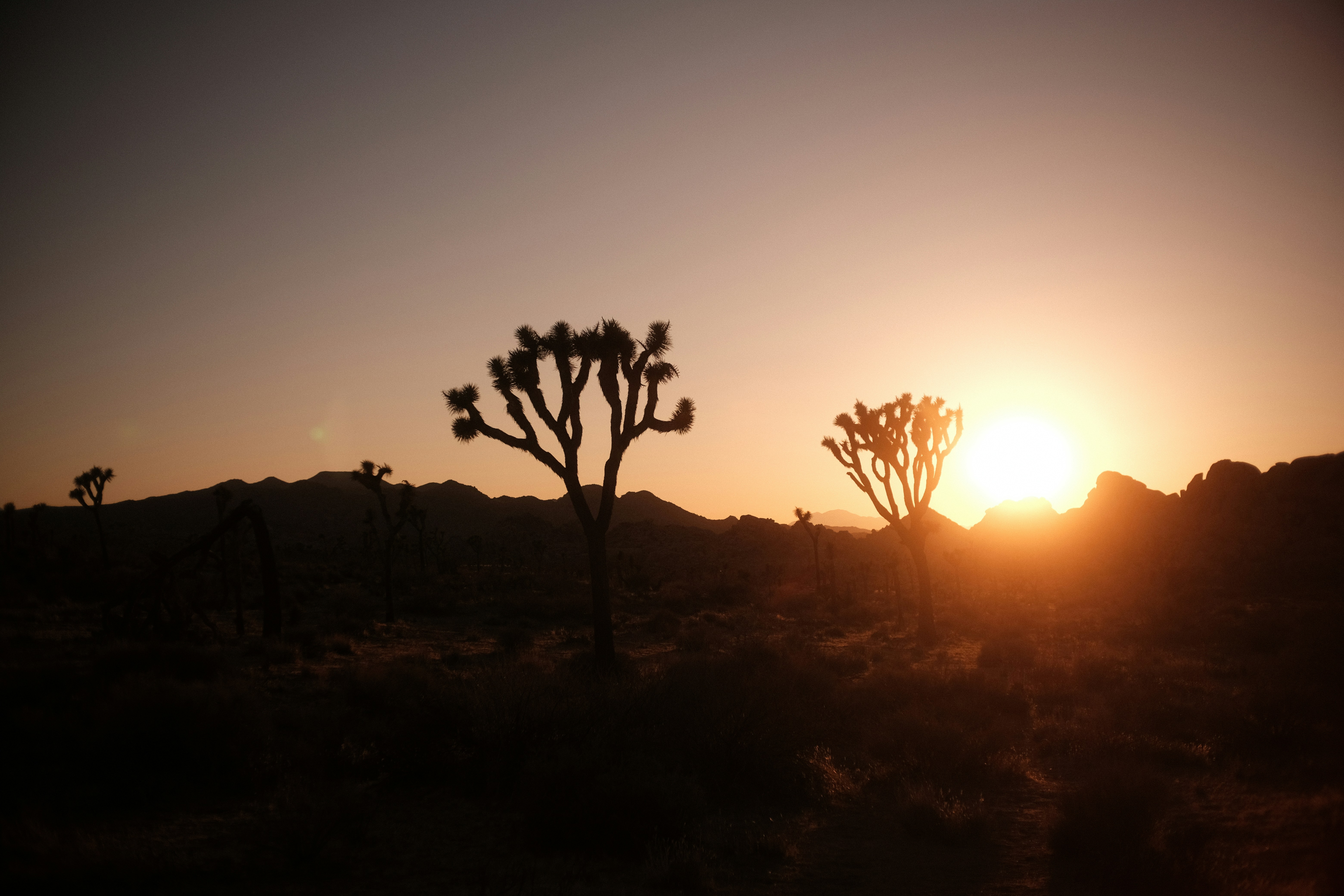 Photo by patrickkonior