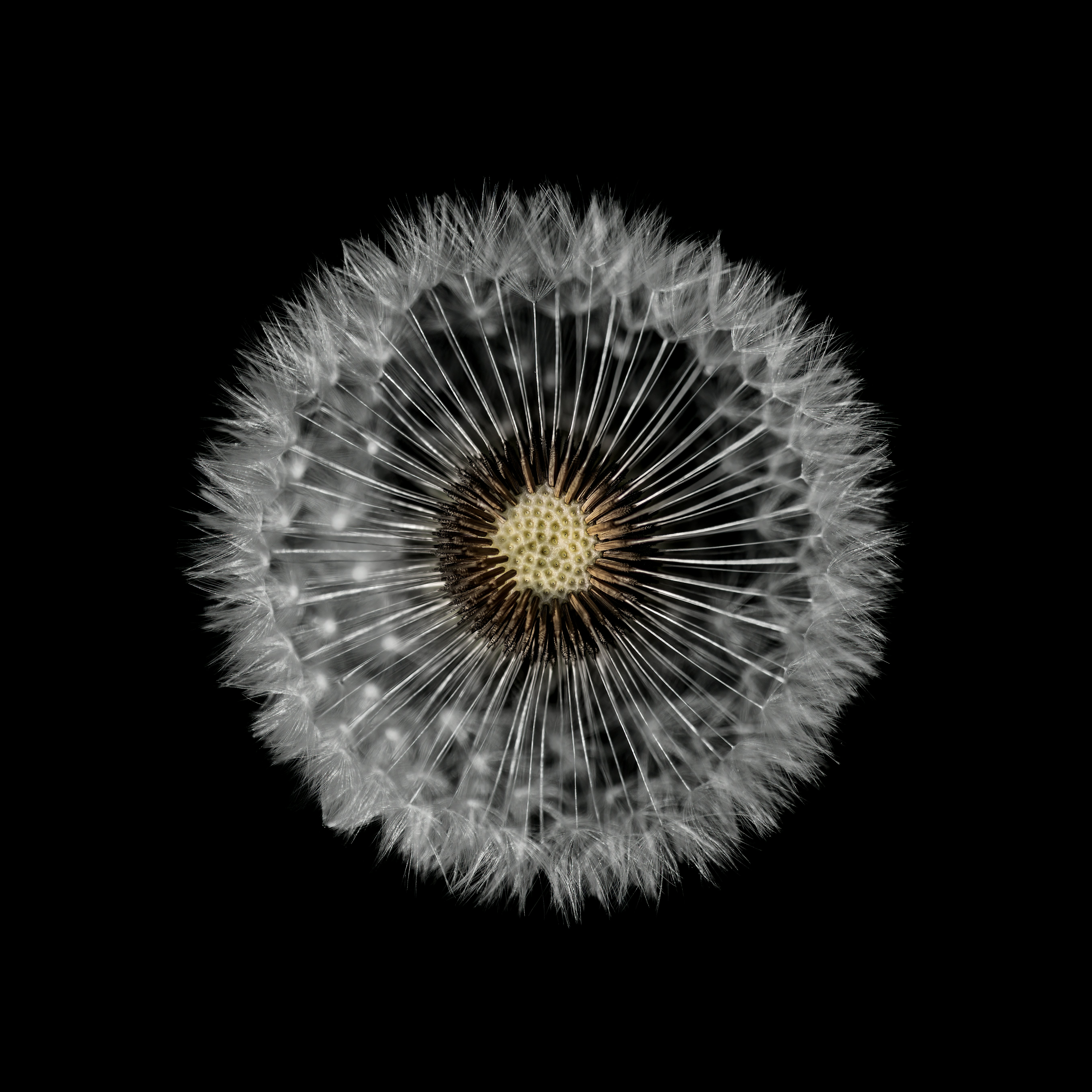 Photo by switch_dtp_fotografie