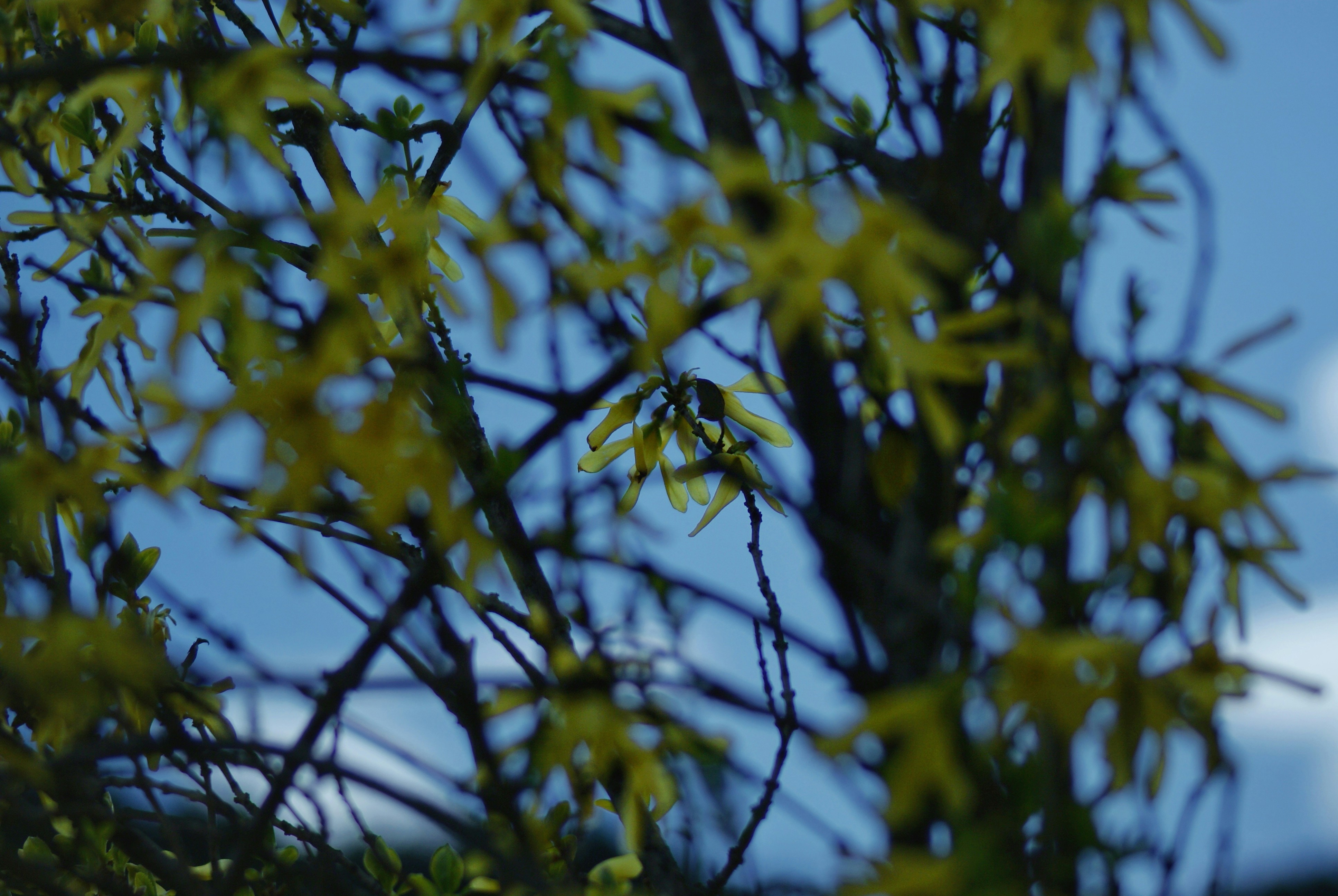 Photo by wavesofdark_7