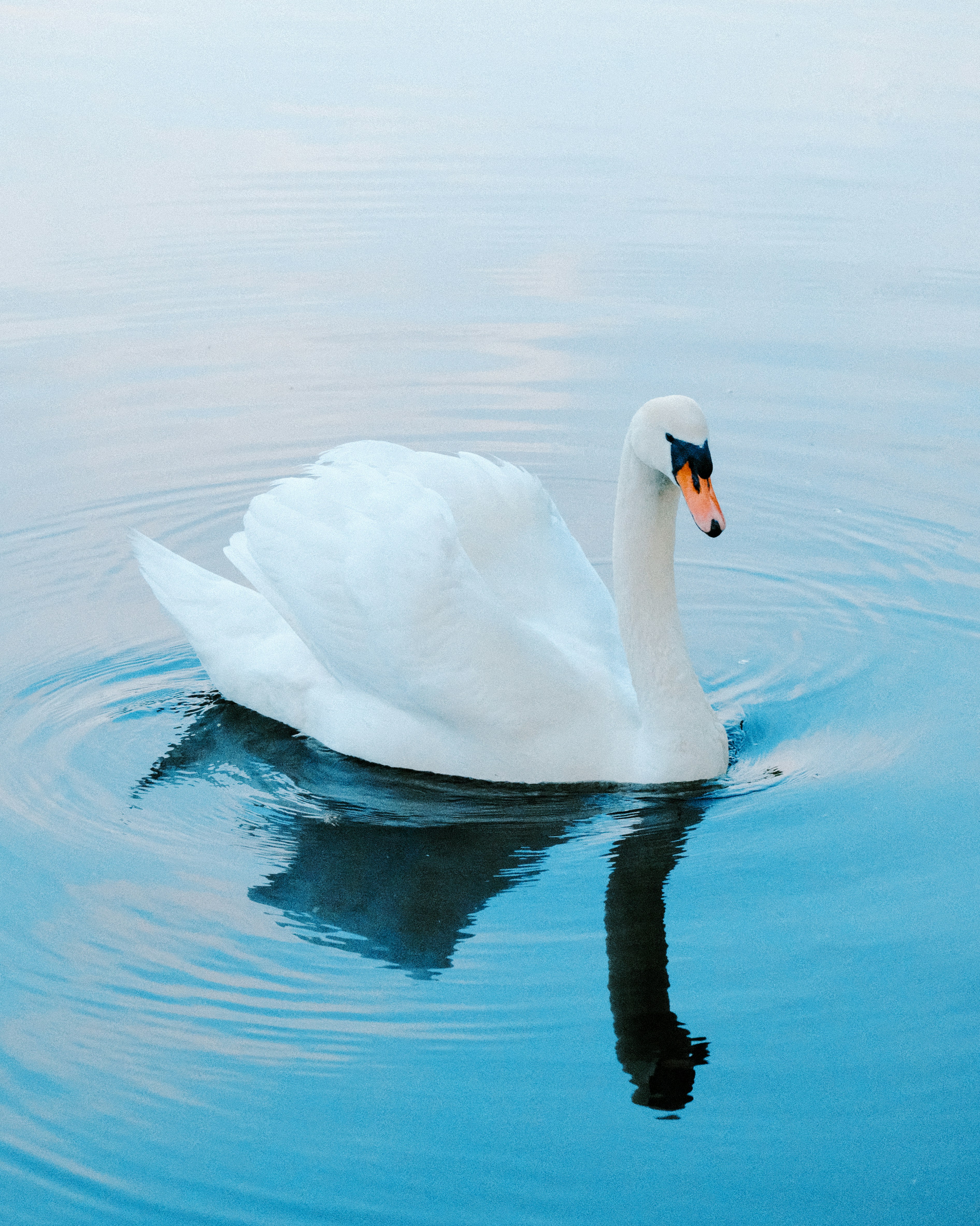 Photo by seanzielinski