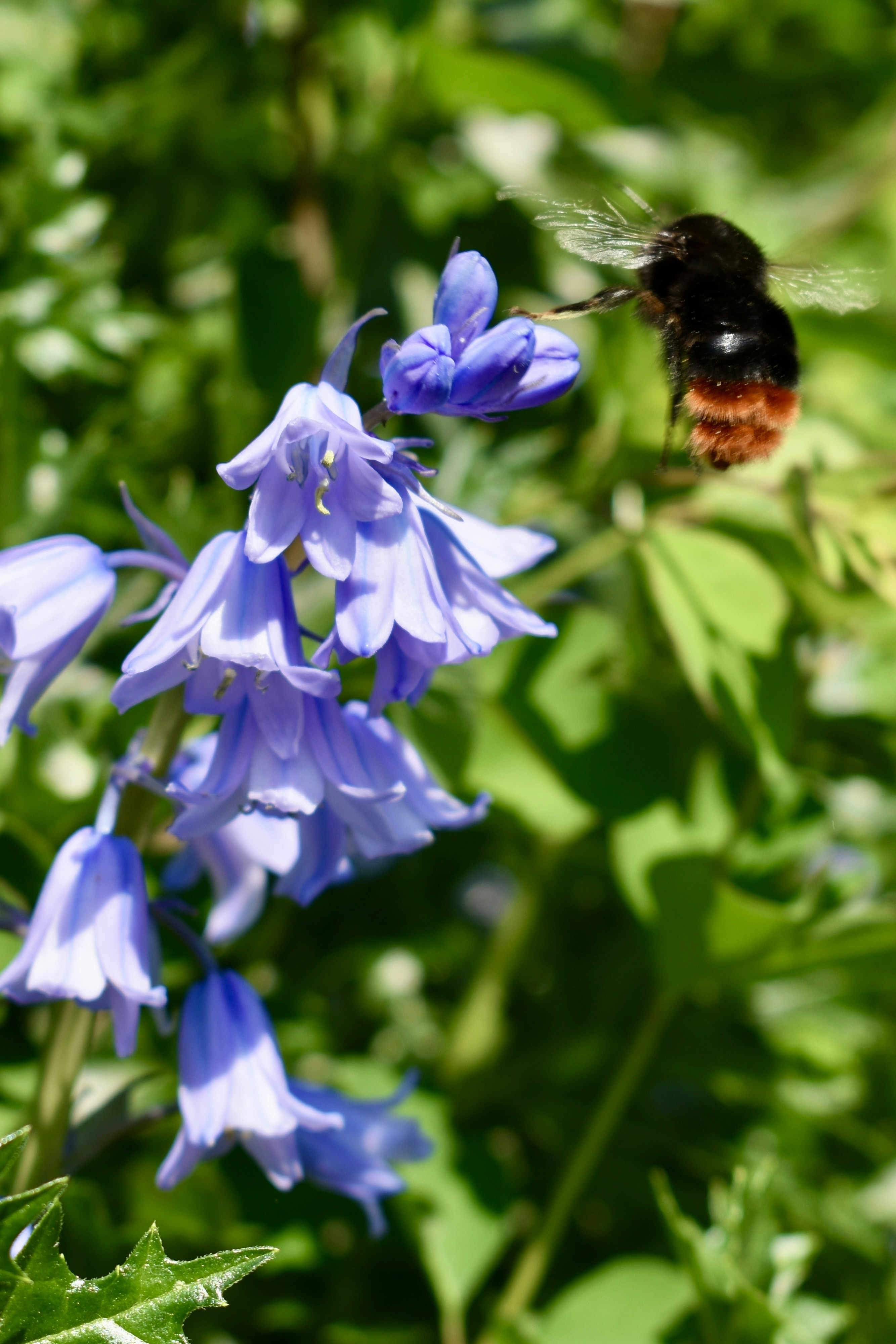 Photo by lisastockton