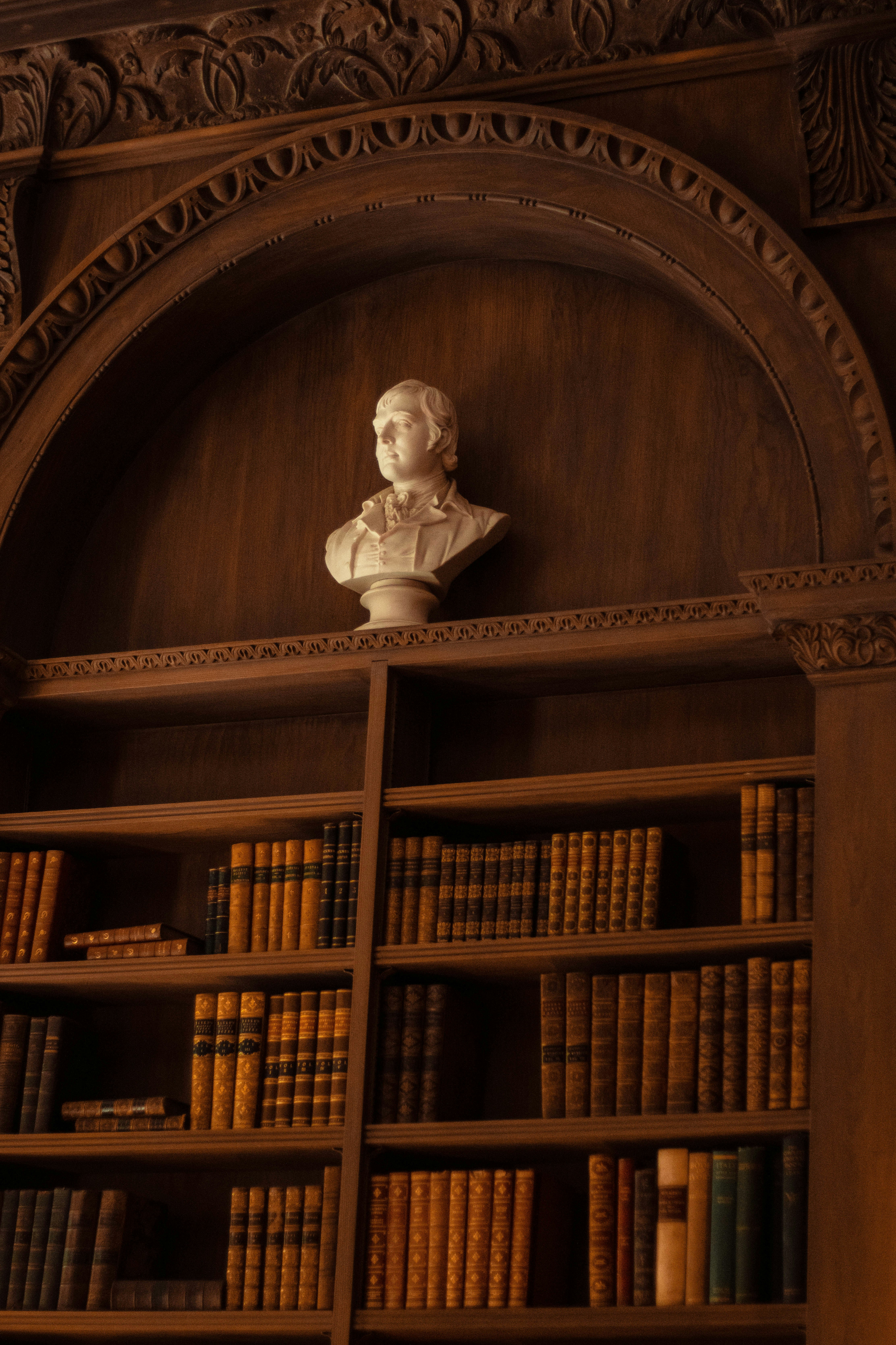 暗い図書館の本棚に胸像が飾られています。