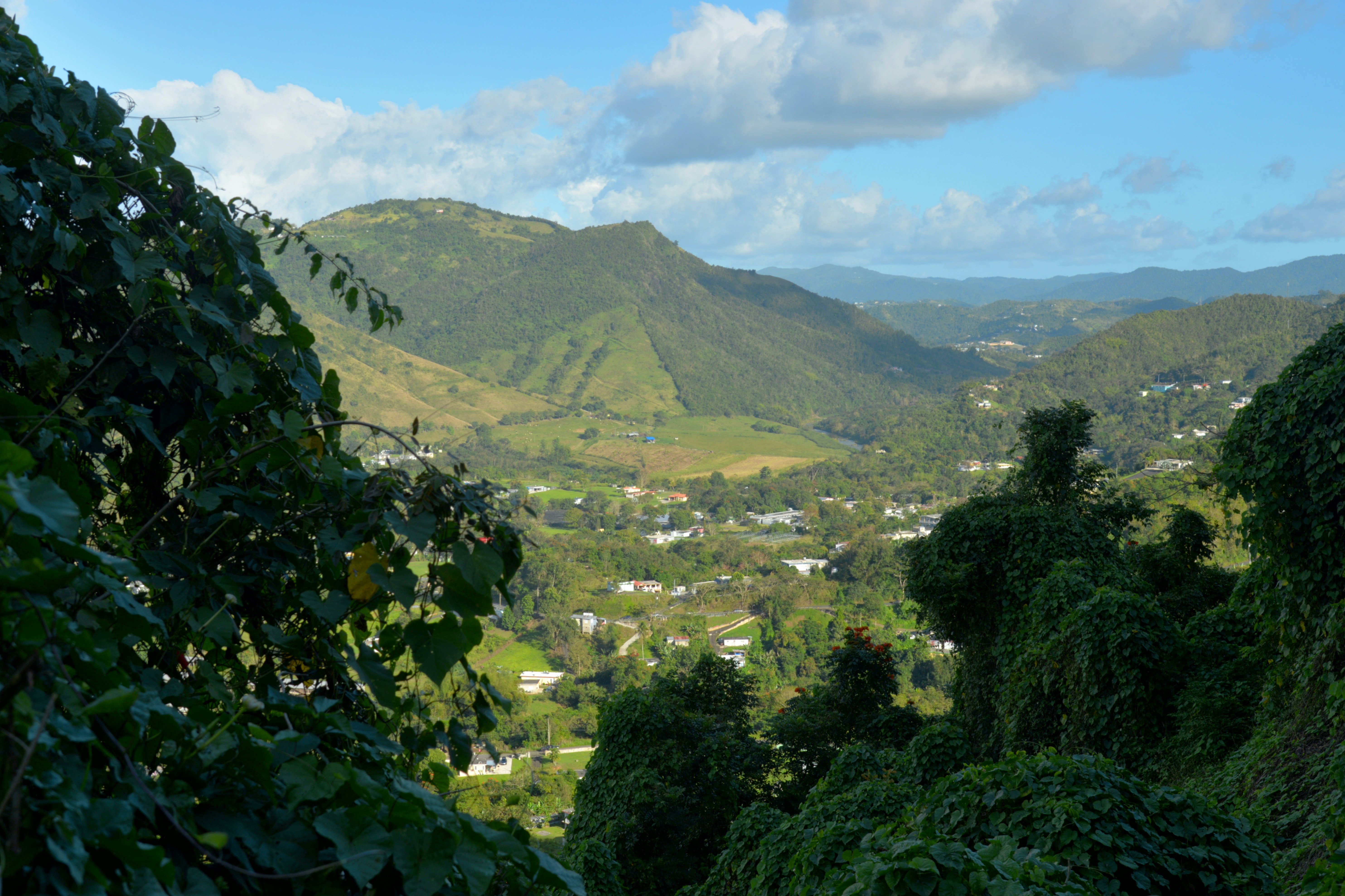 Vallée verte sous le ciel bleu