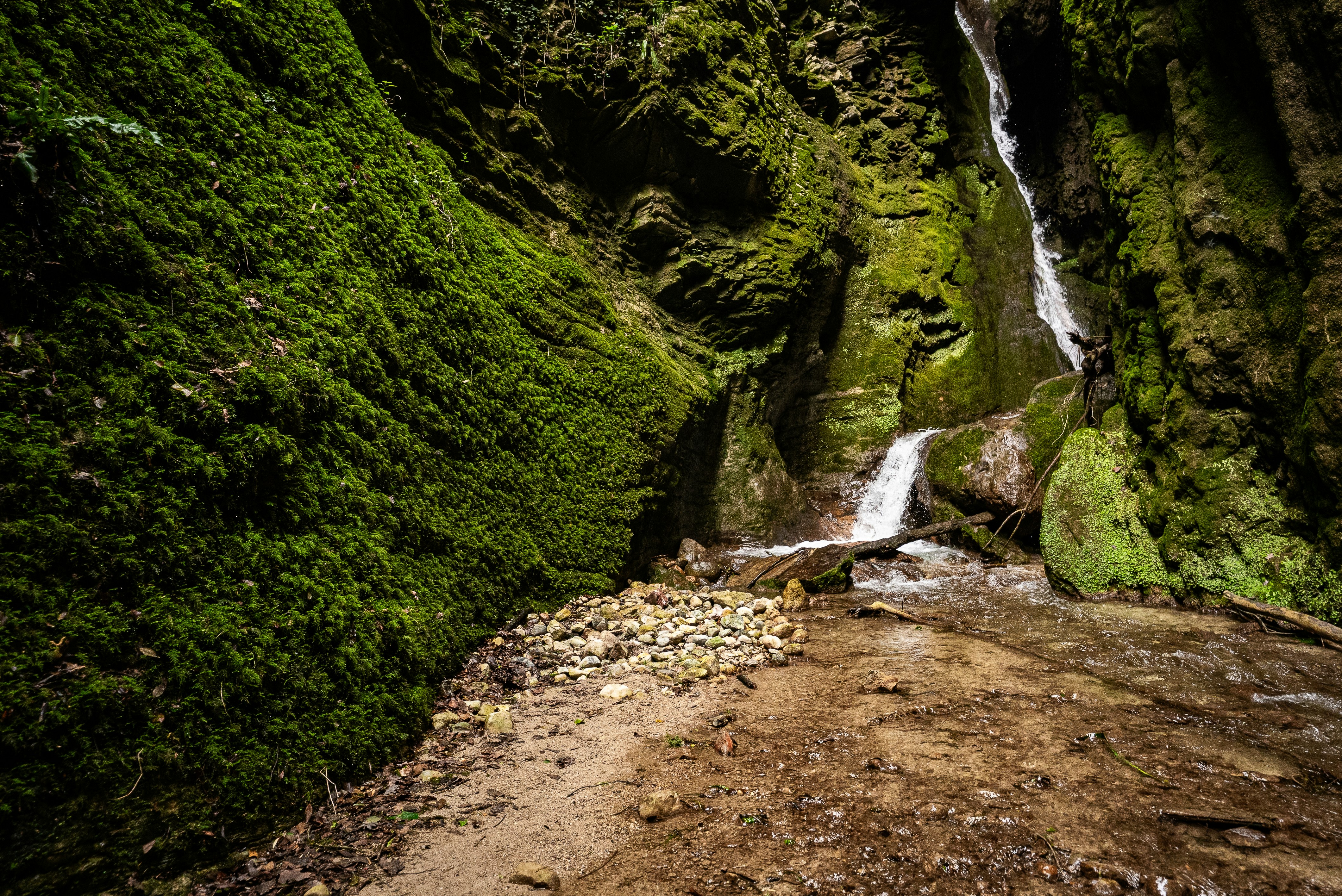 A small waterfall flows through a mossy canyon.