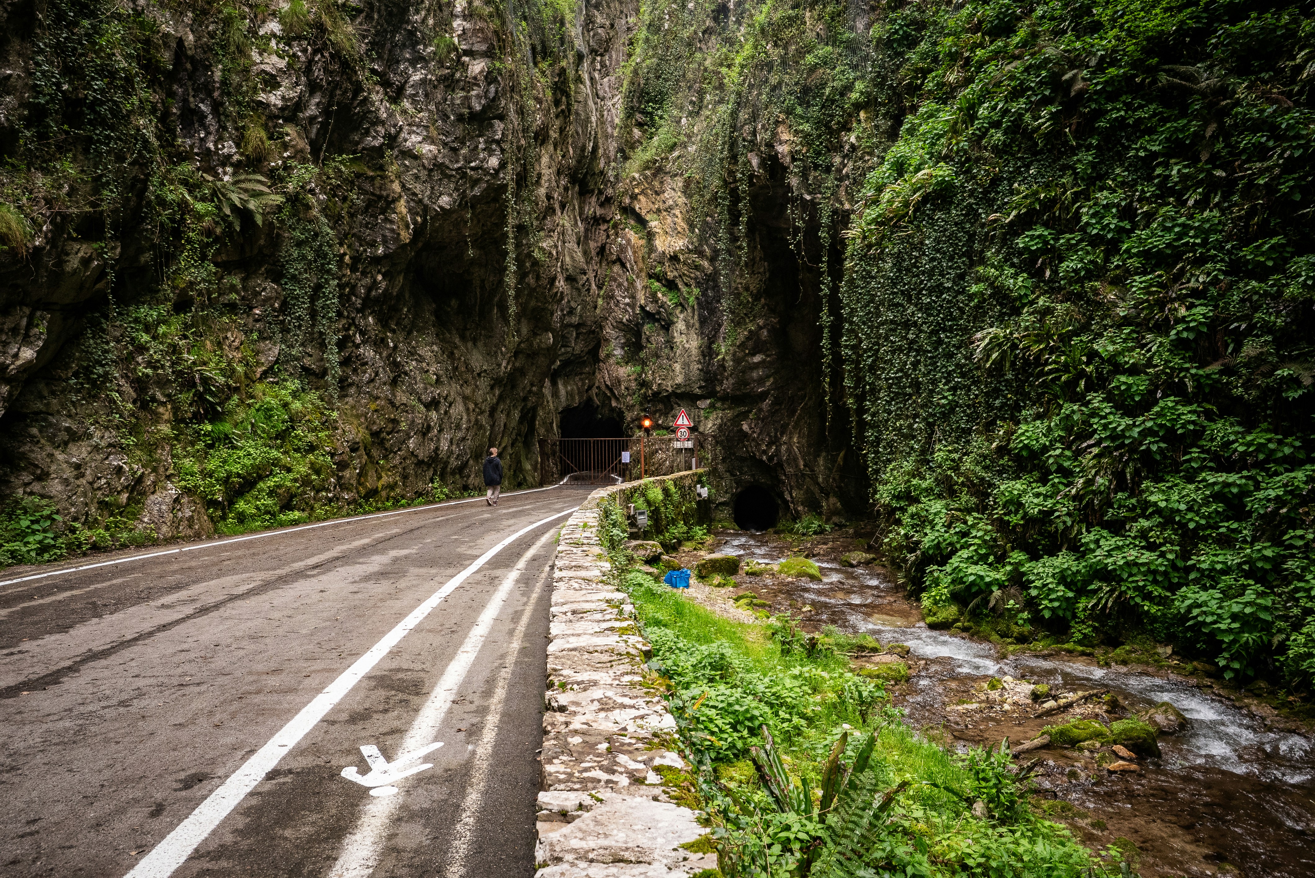 Road winds through lush, rocky canyon.