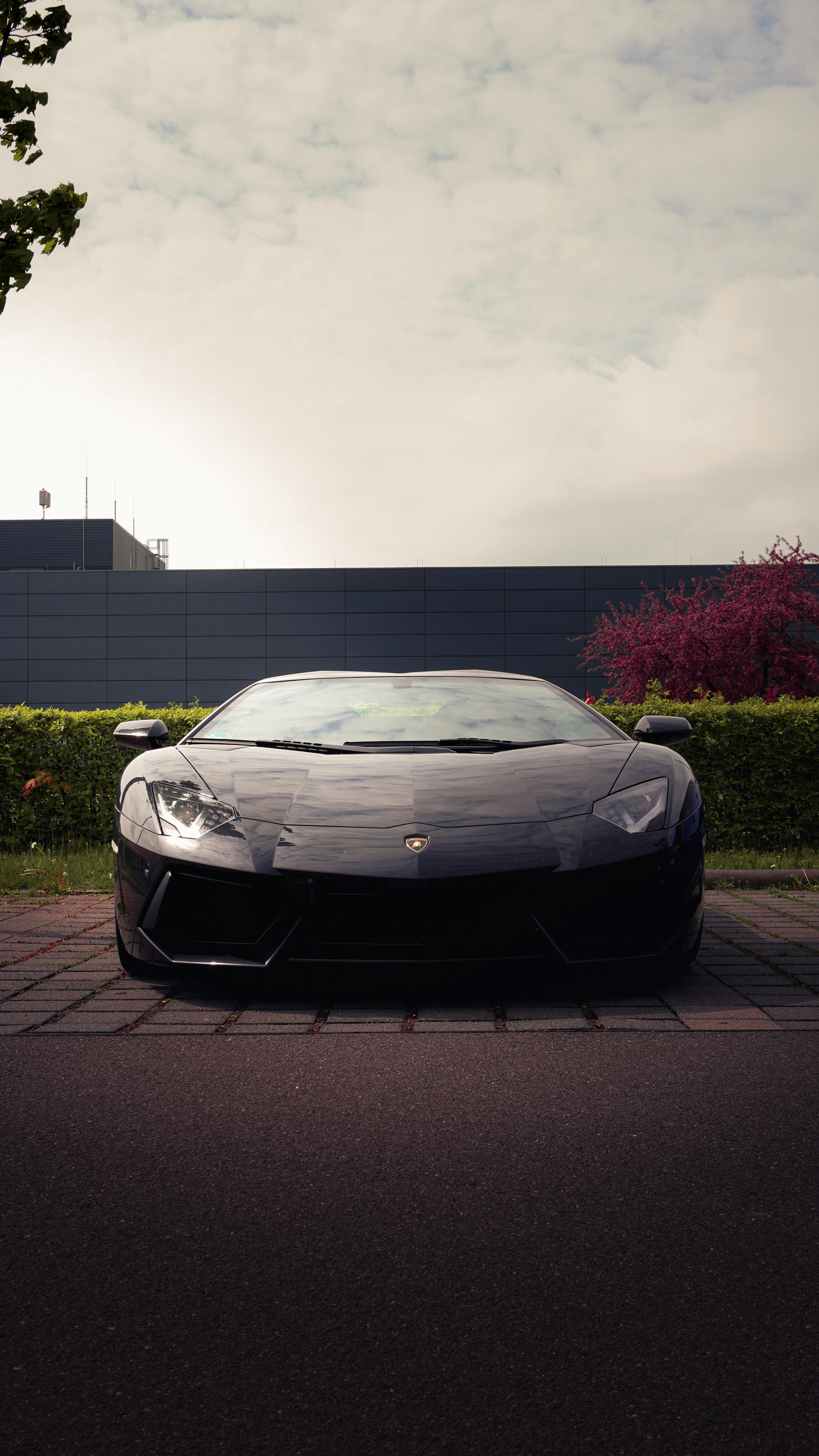 Photo by neuweltphotography