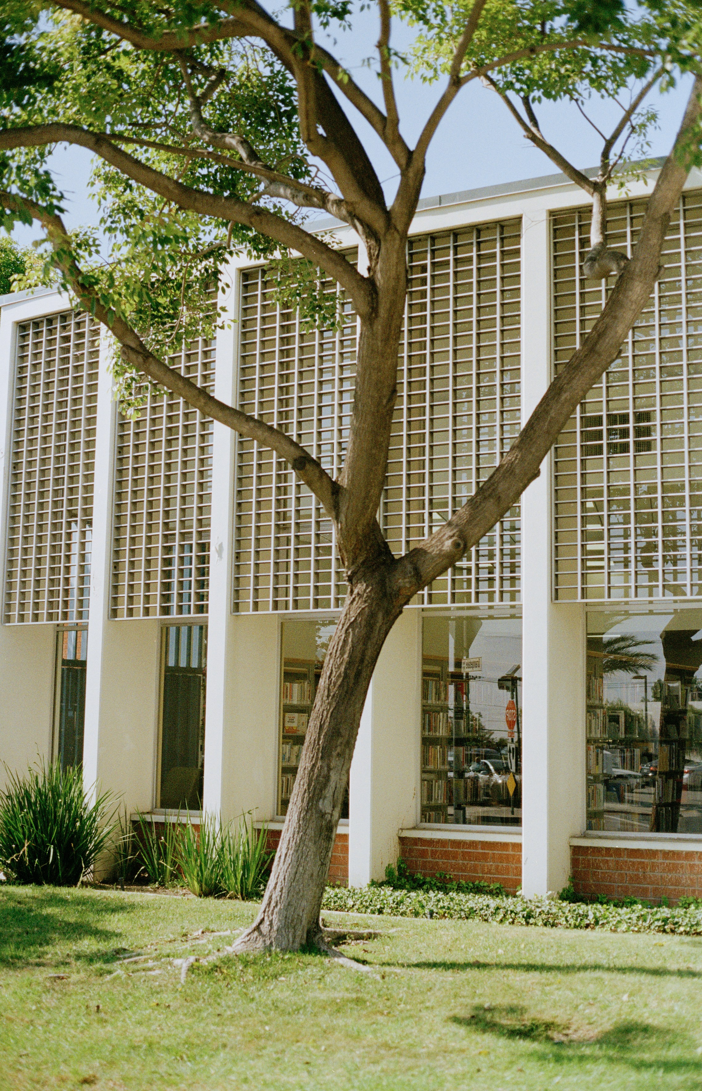 Photo by davidschultz