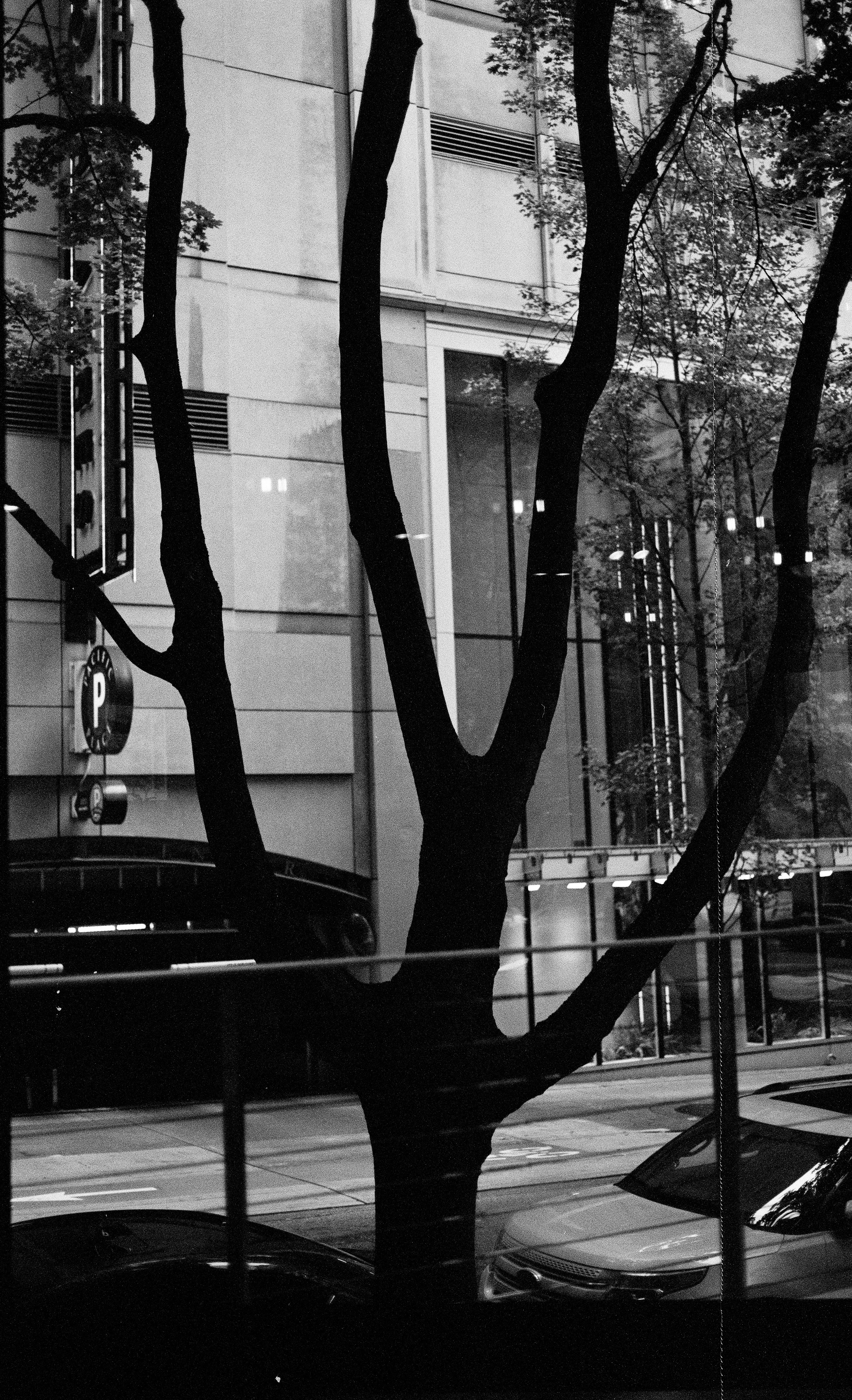 Photo by davidschultz