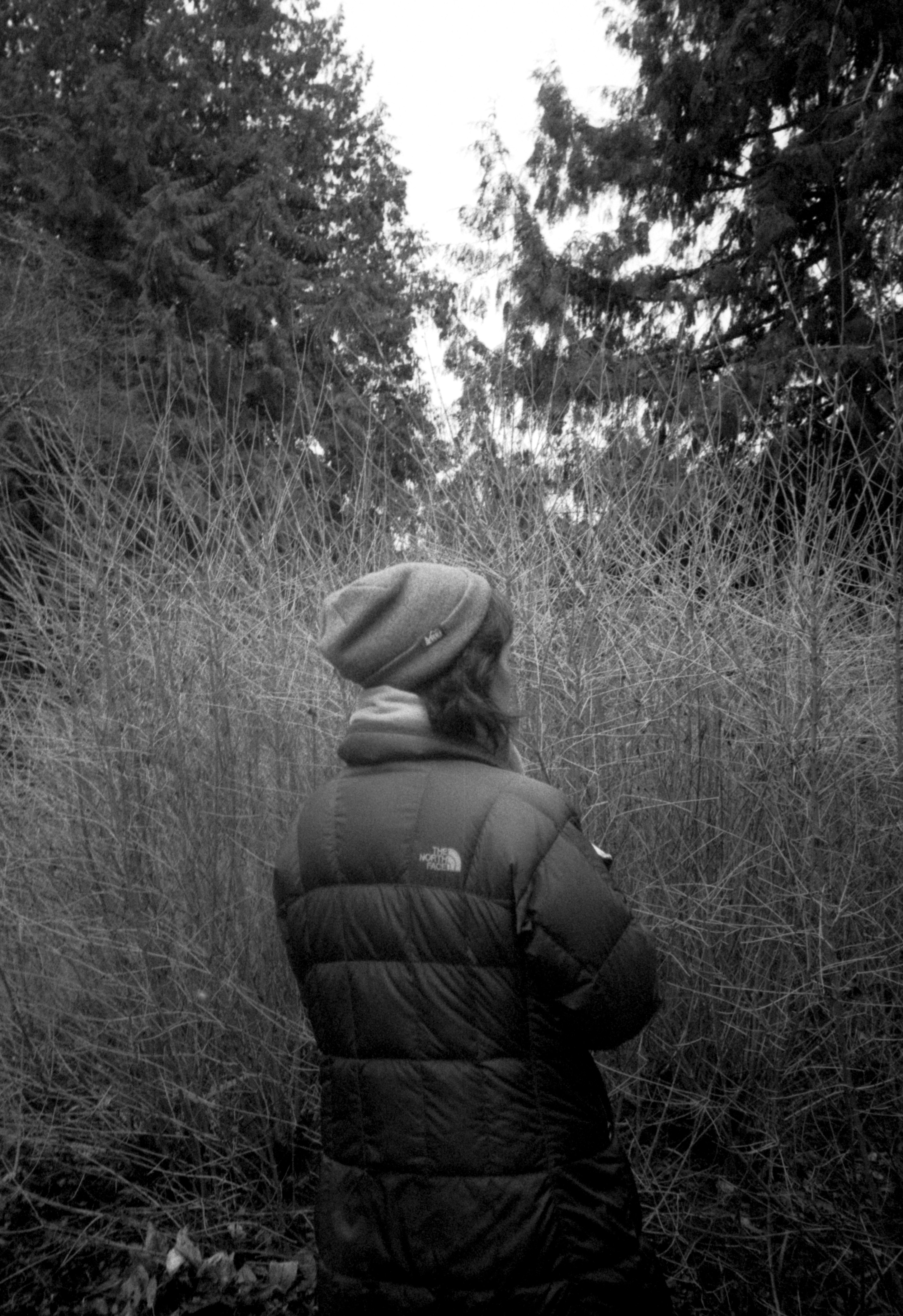 Photo by davidschultz