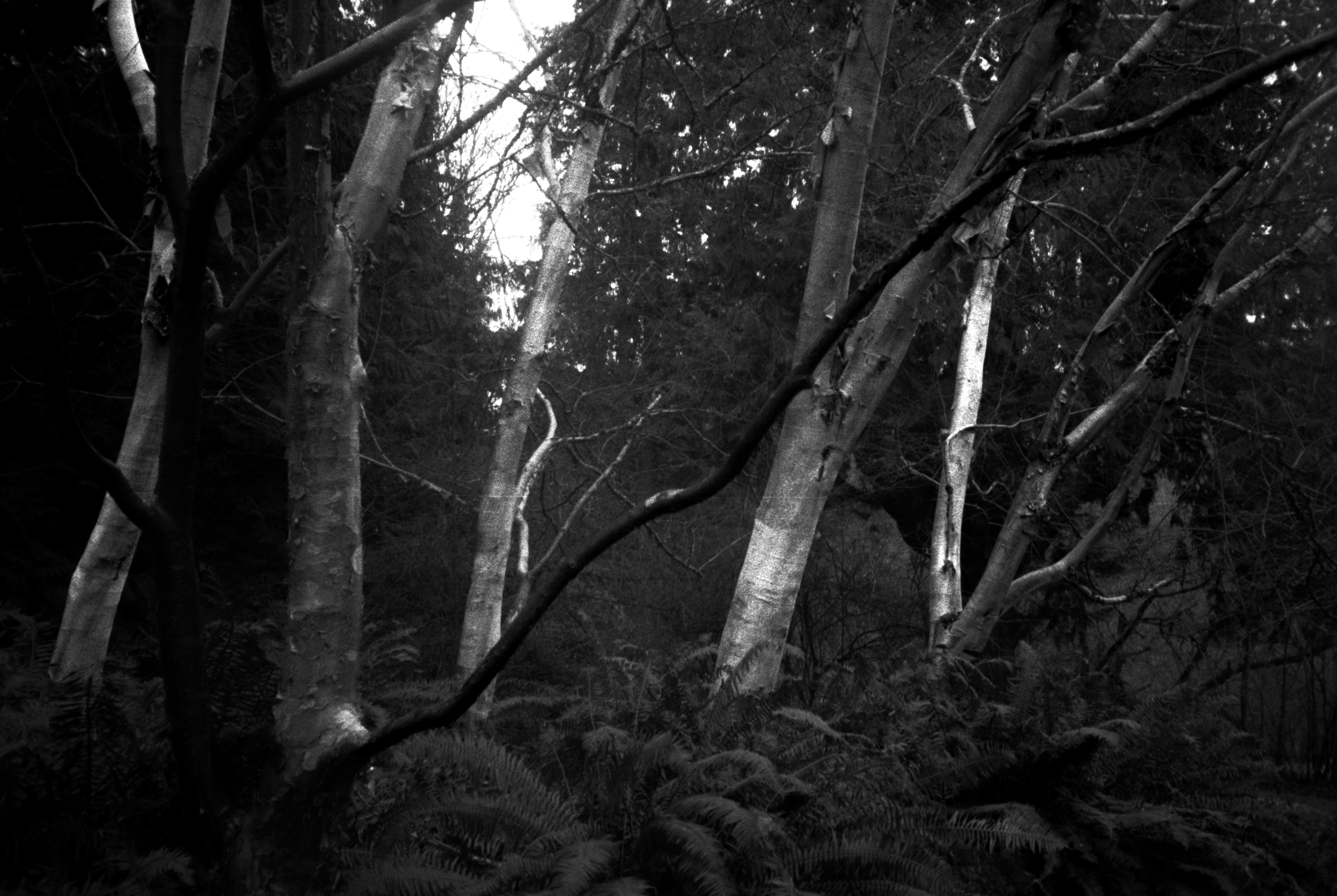 Photo by davidschultz