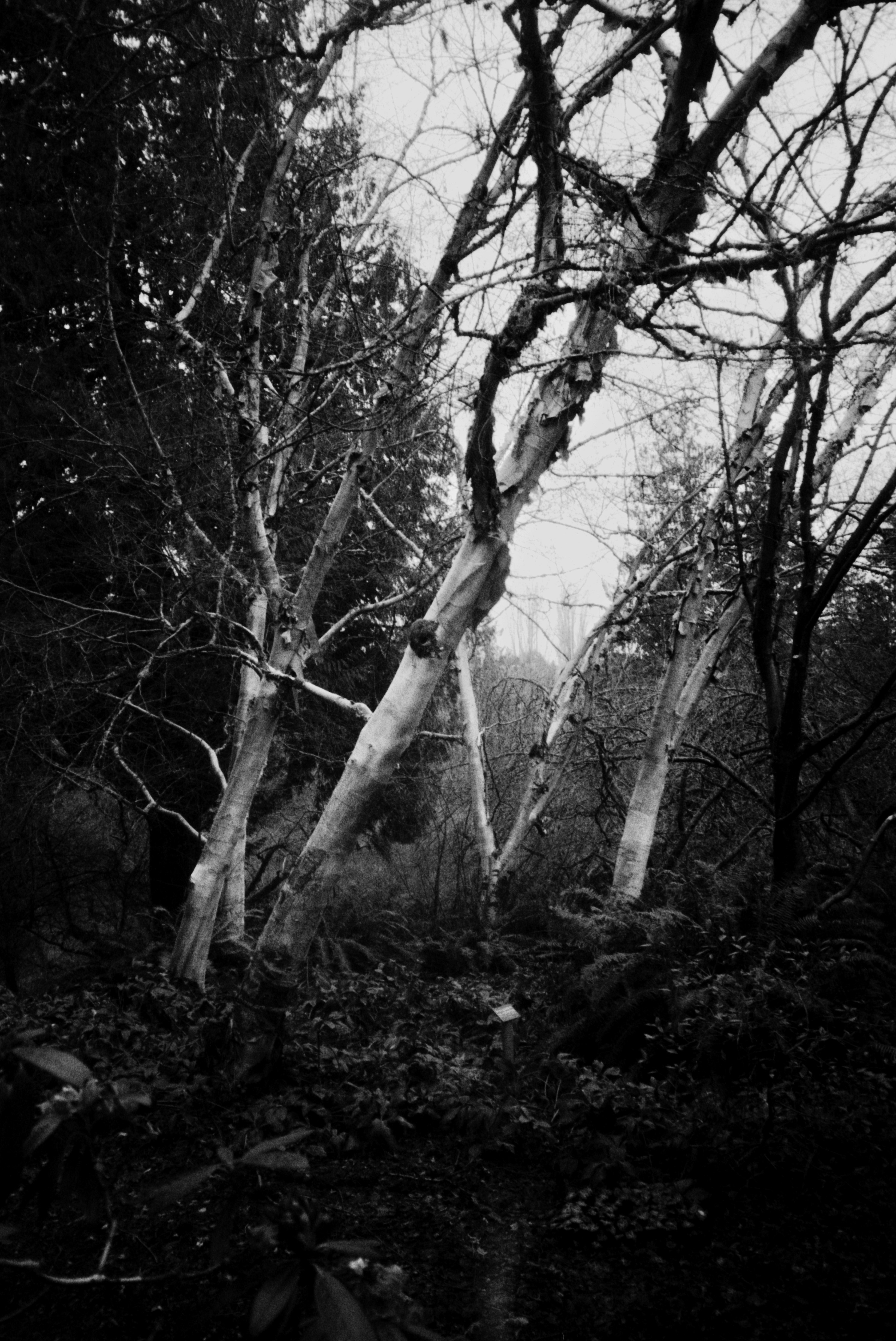 Photo by davidschultz