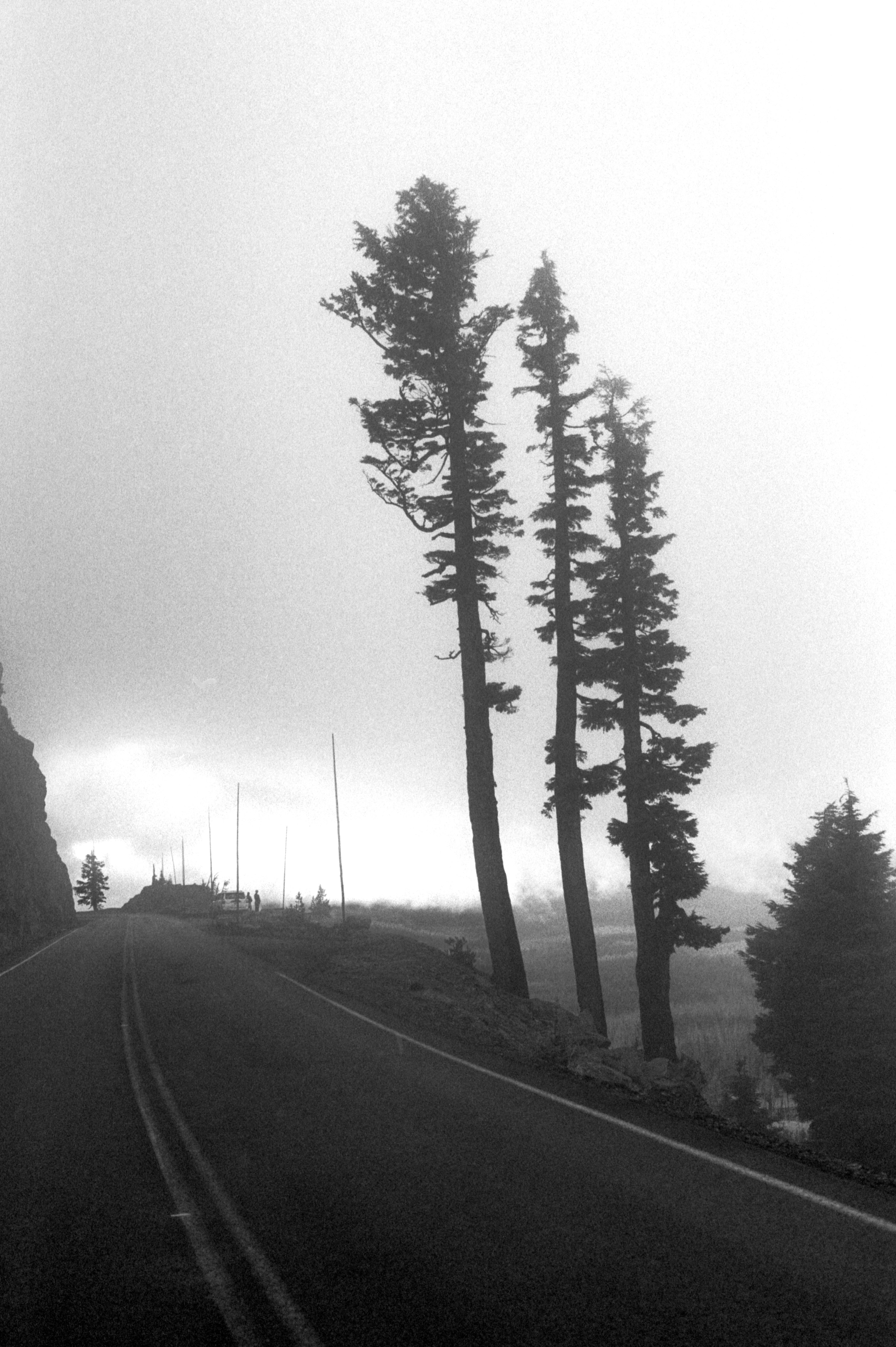 Photo by davidschultz