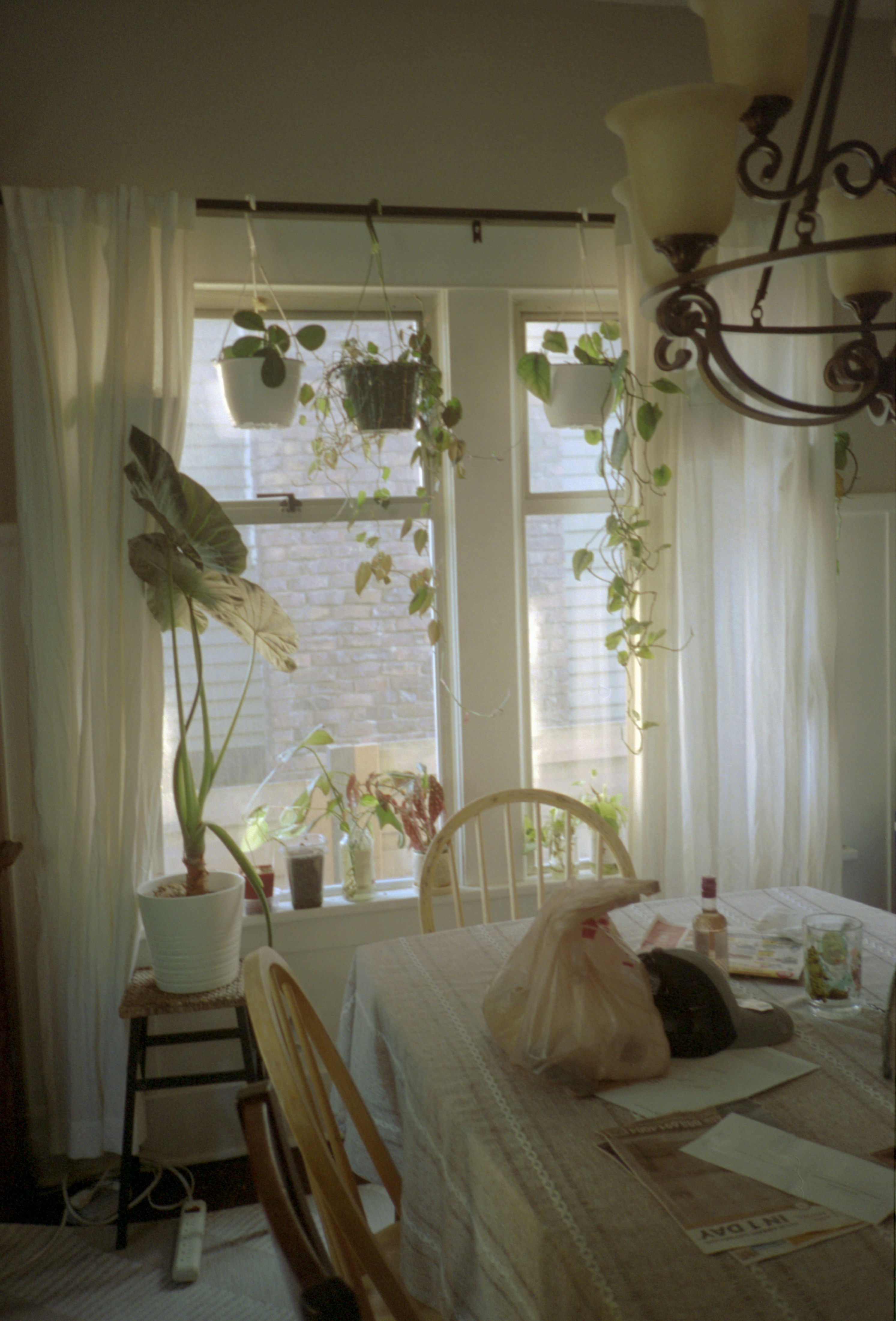 Photo by davidschultz