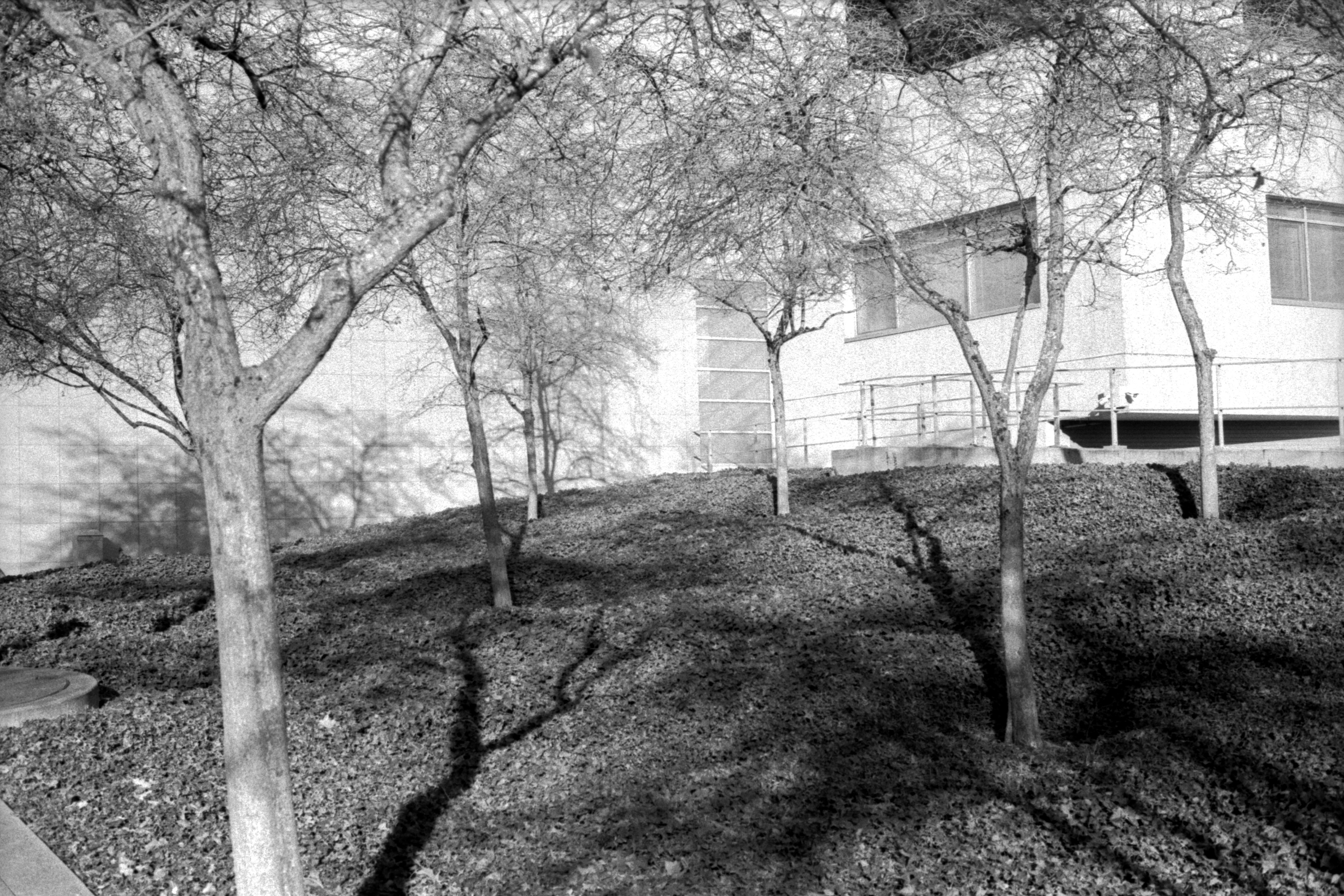 Photo by davidschultz