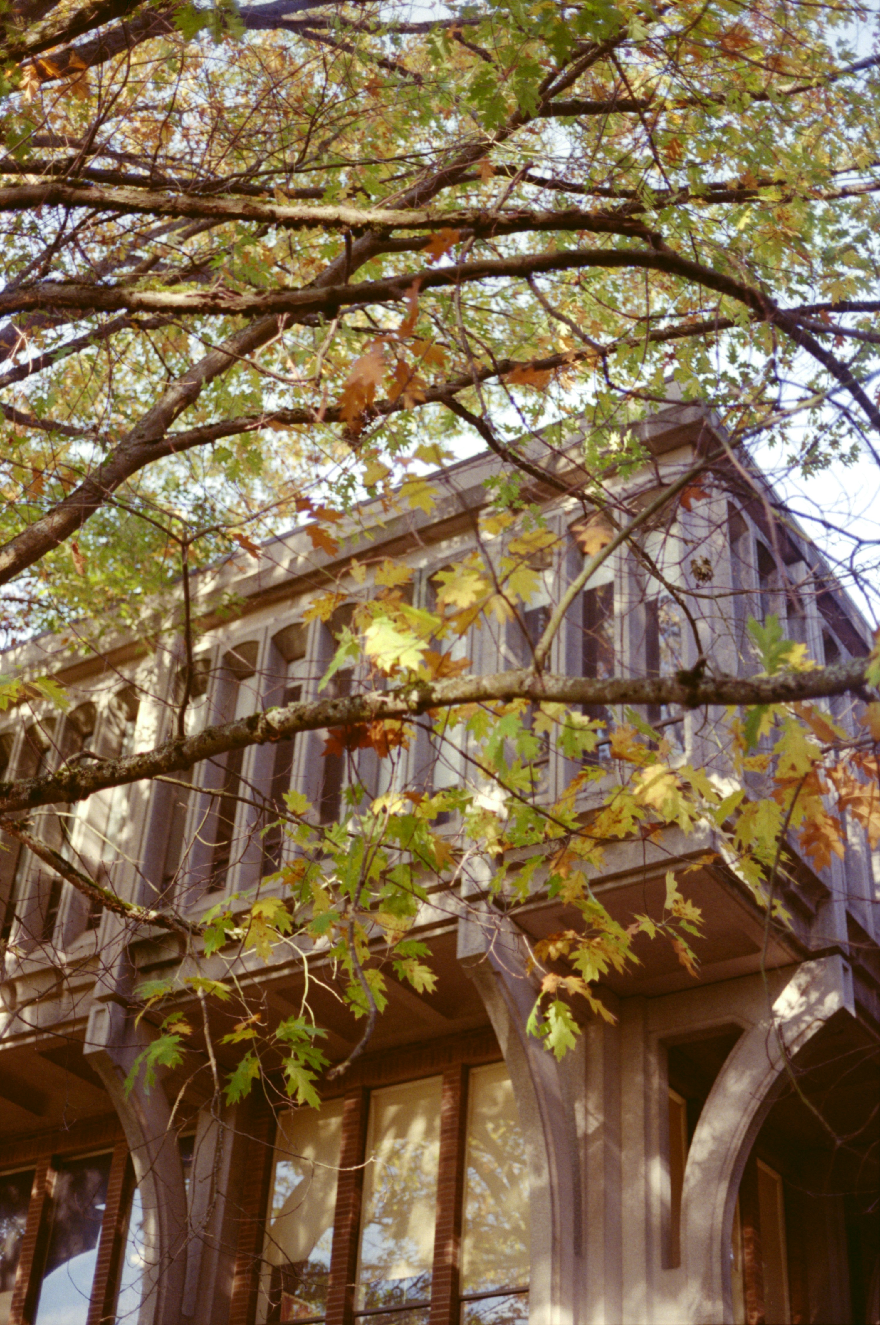 Photo by davidschultz