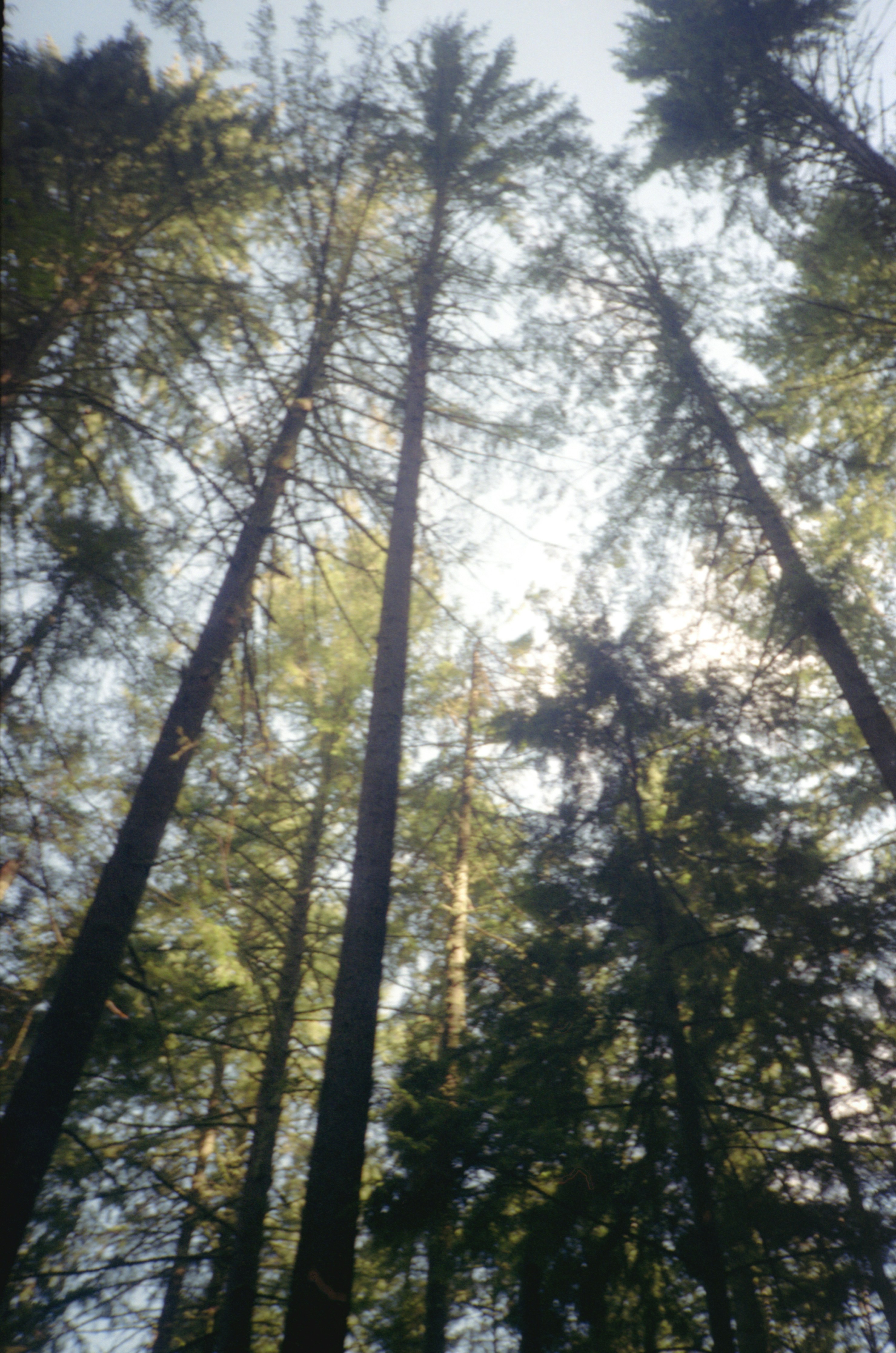 Photo by davidschultz