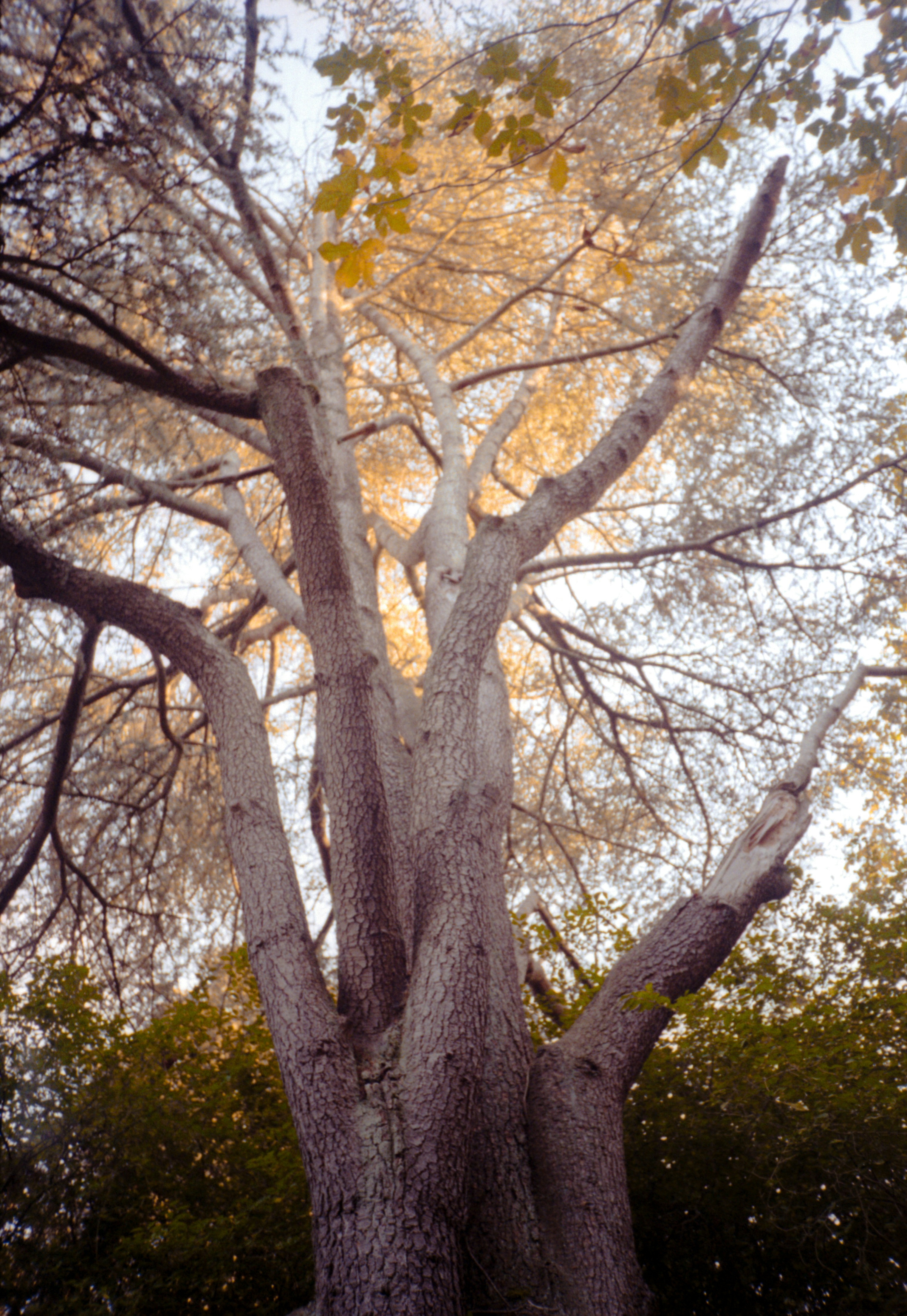 Photo by davidschultz