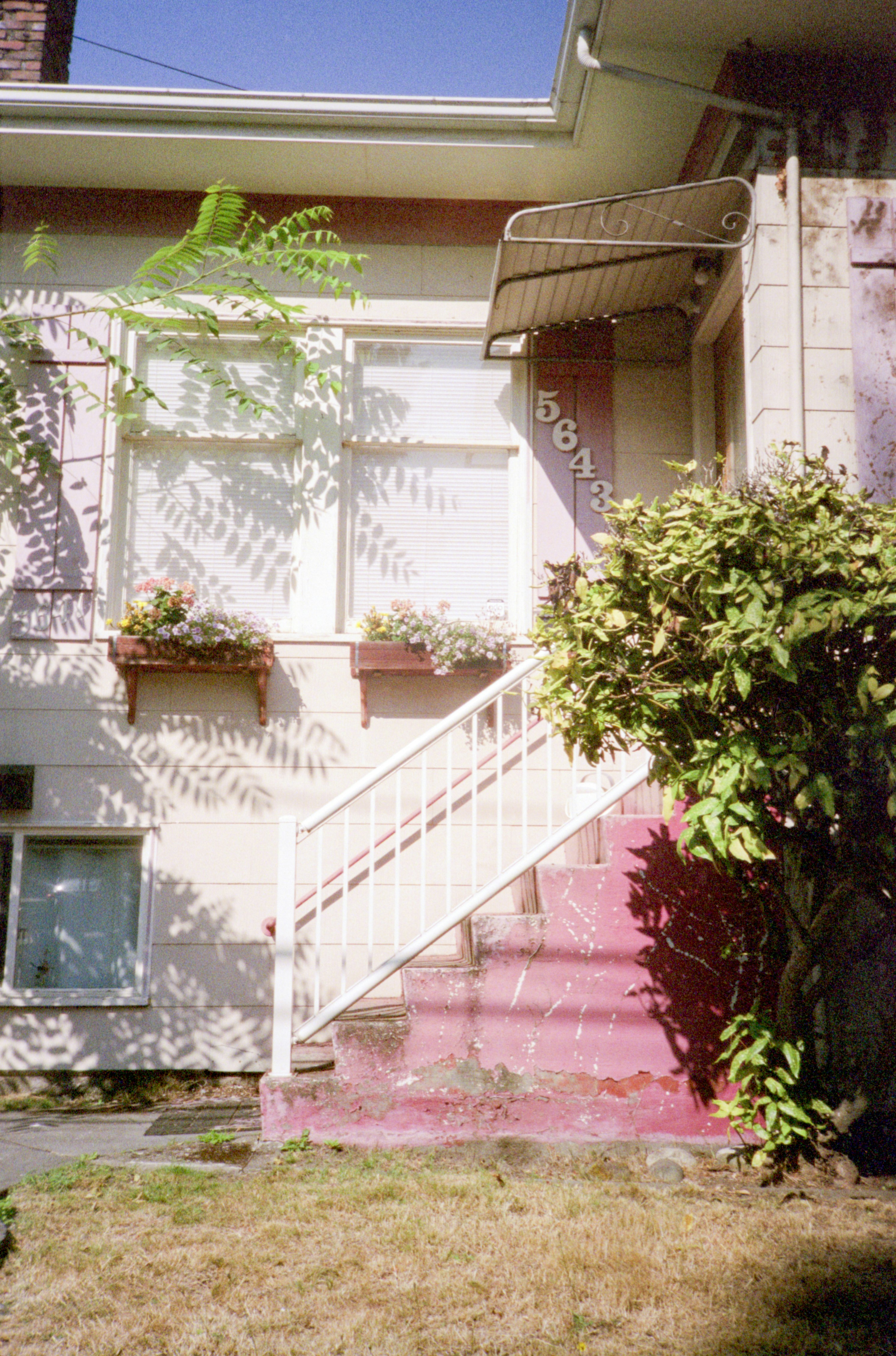 Photo by davidschultz