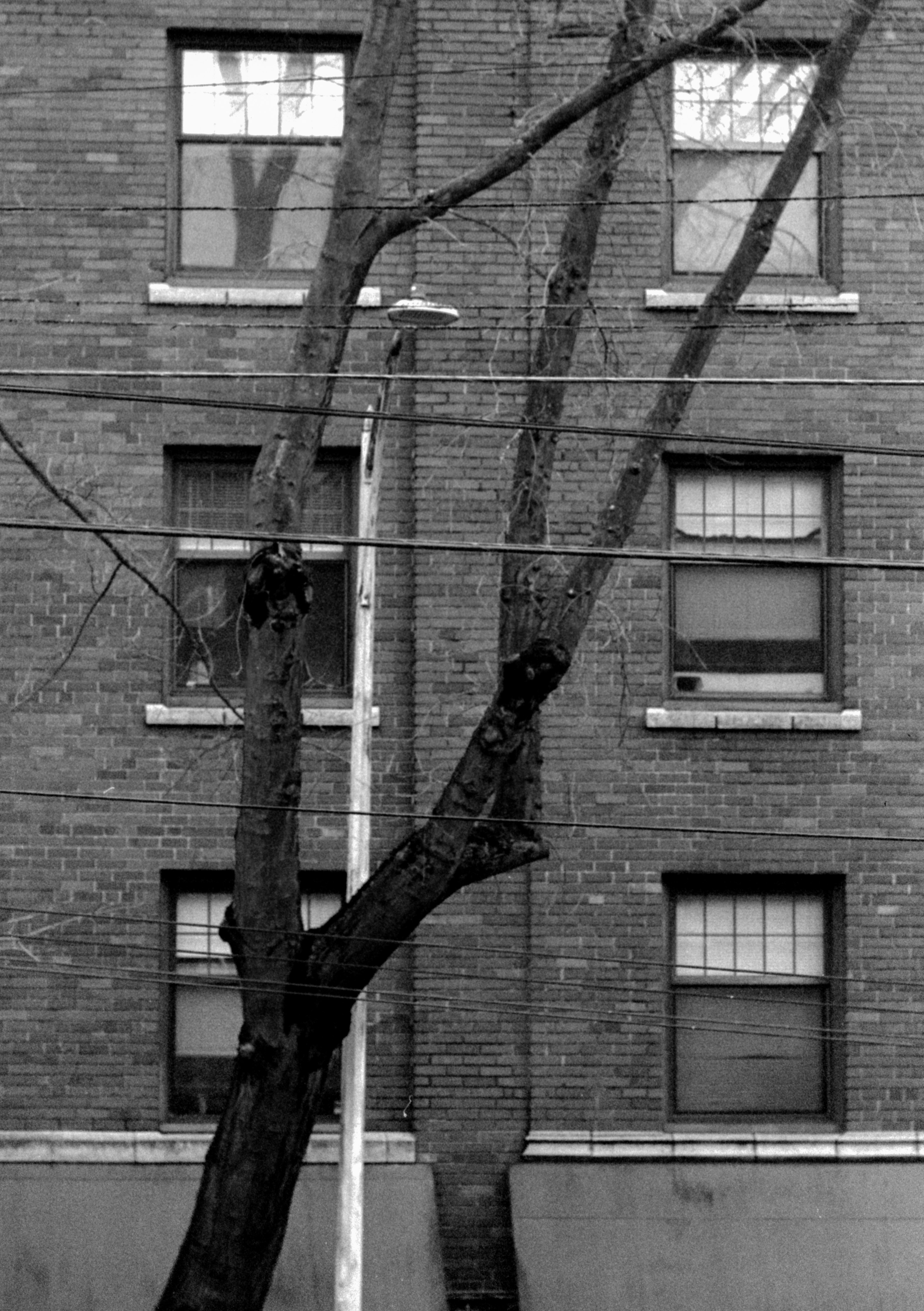 Photo by davidschultz