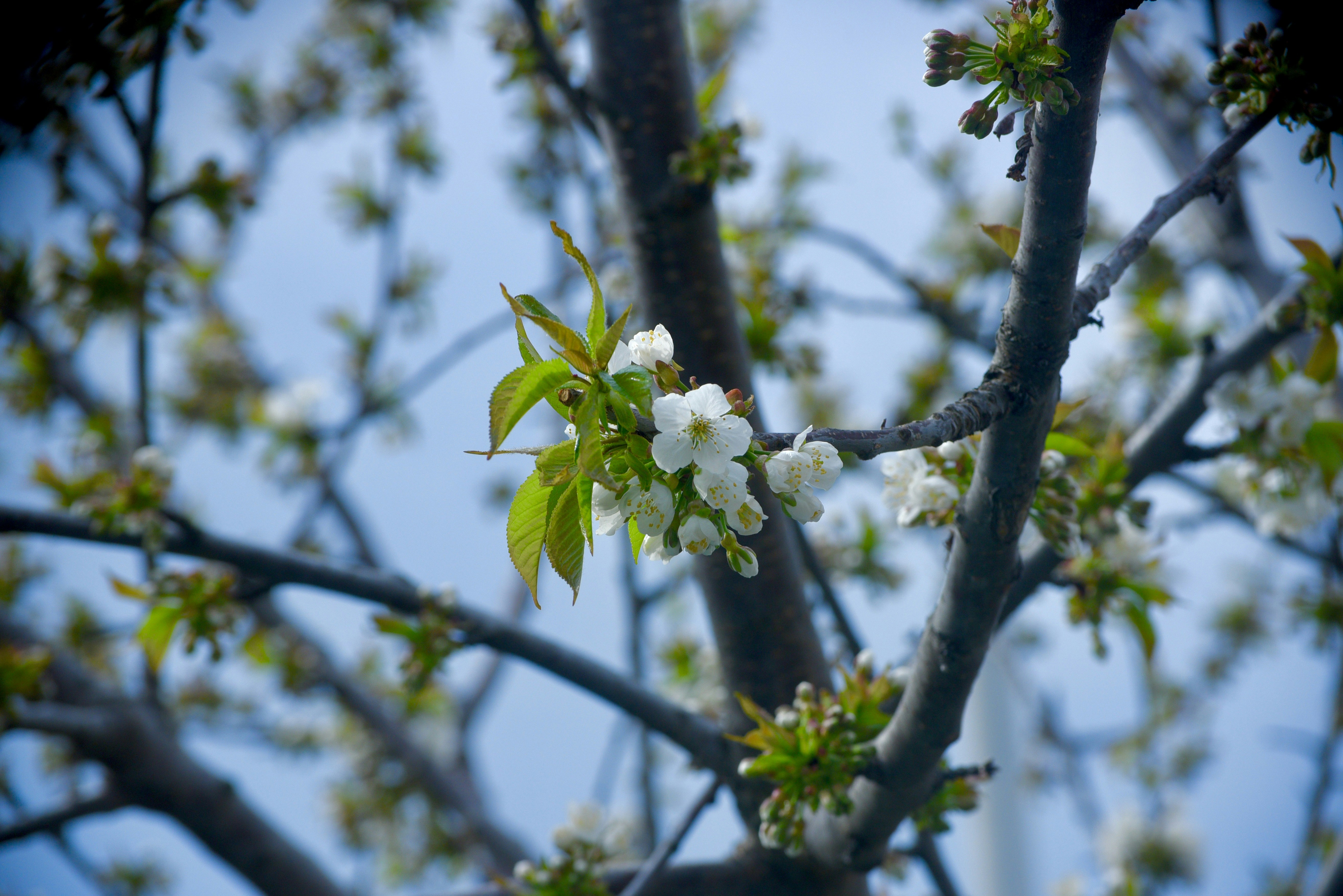 Photo by pravynandas