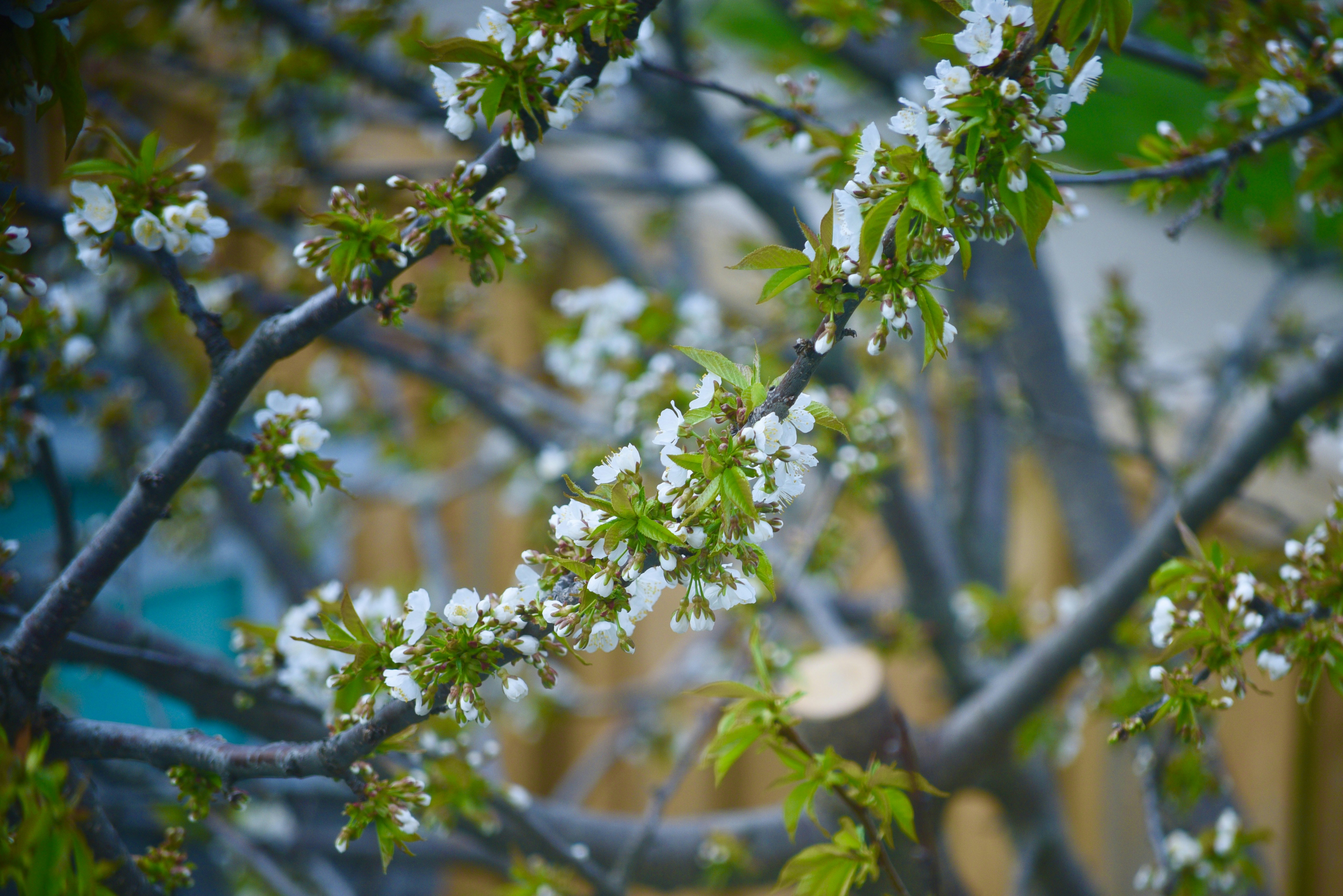 Photo by pravynandas