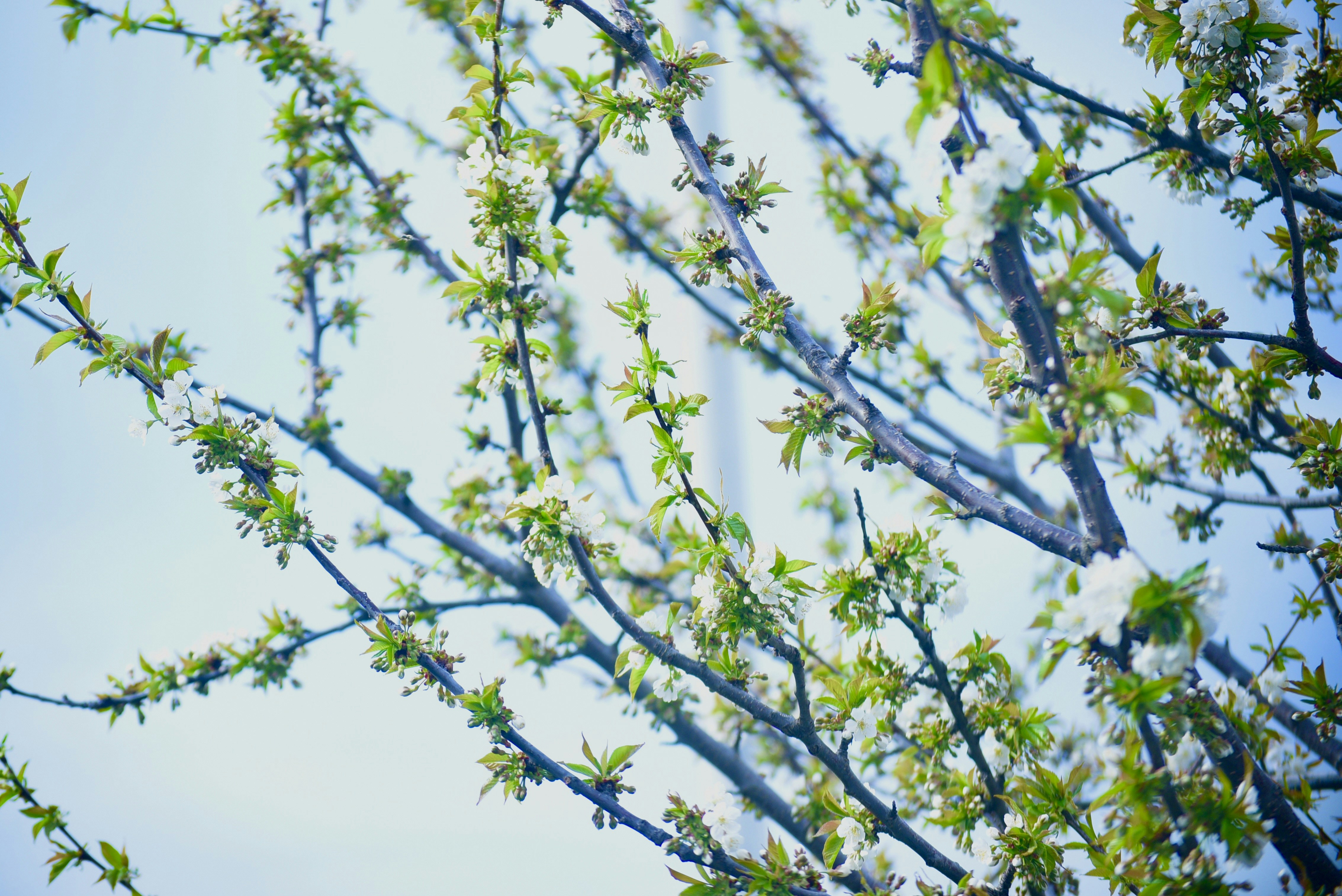 Photo by pravynandas