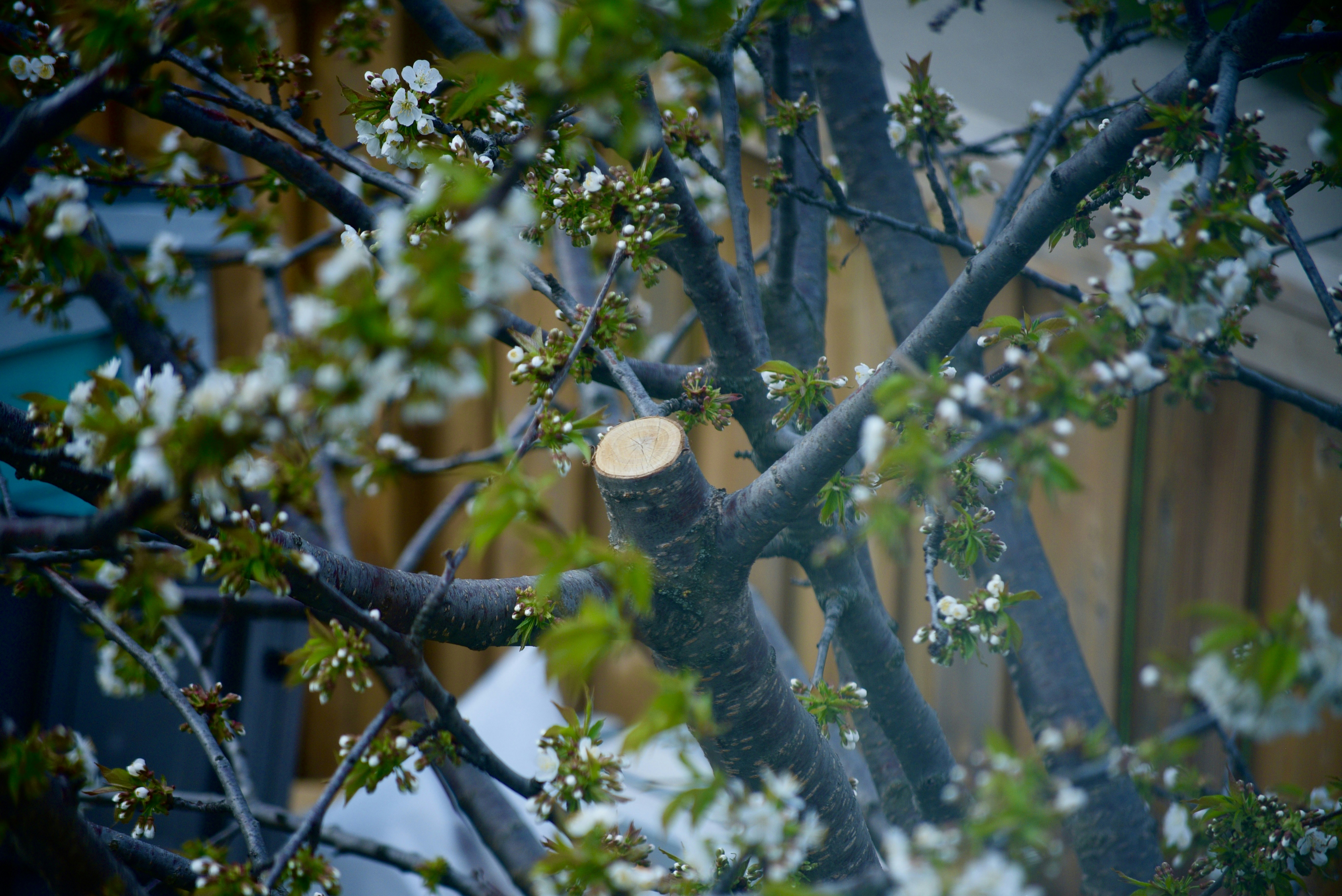 Photo by pravynandas