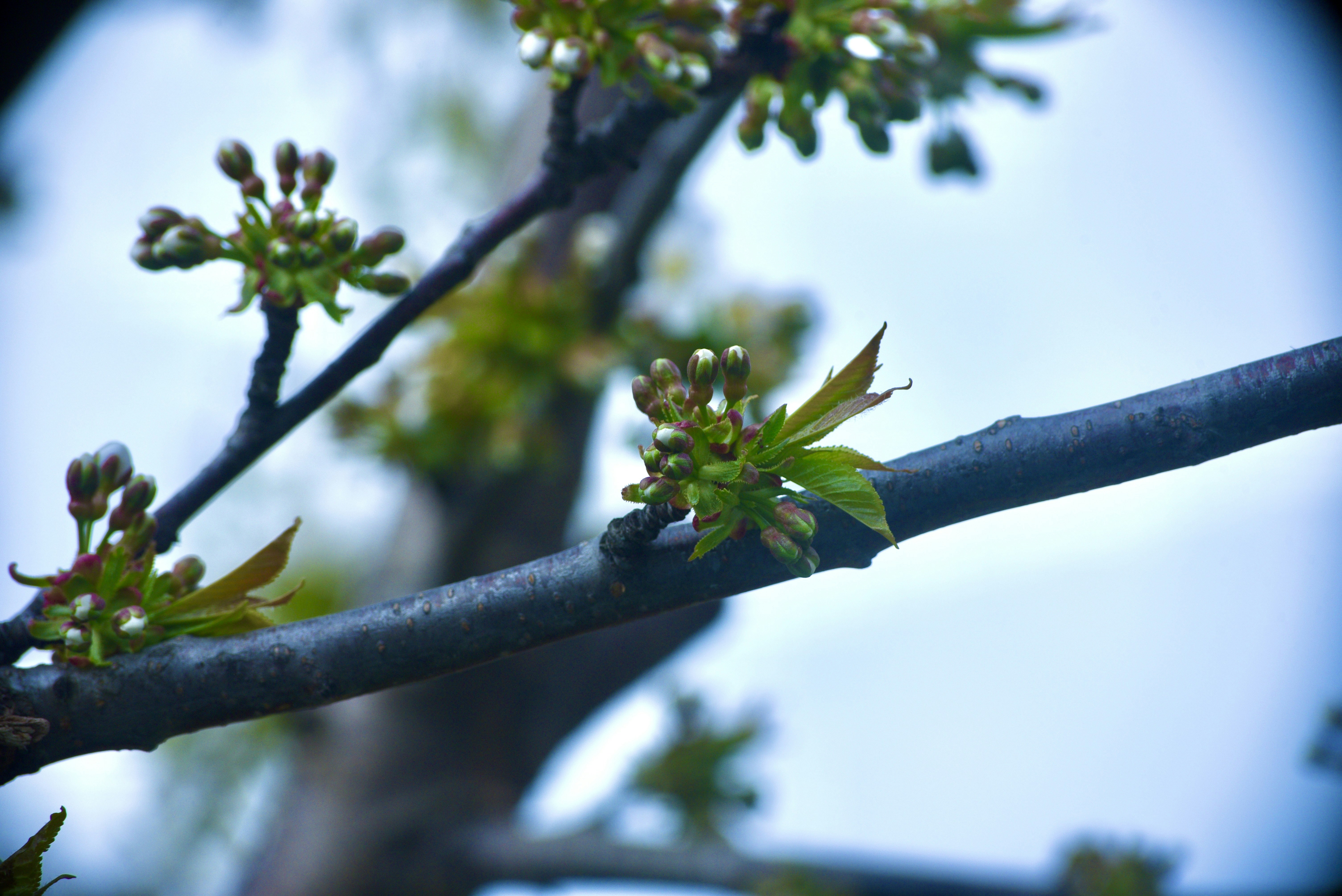 Photo by pravynandas