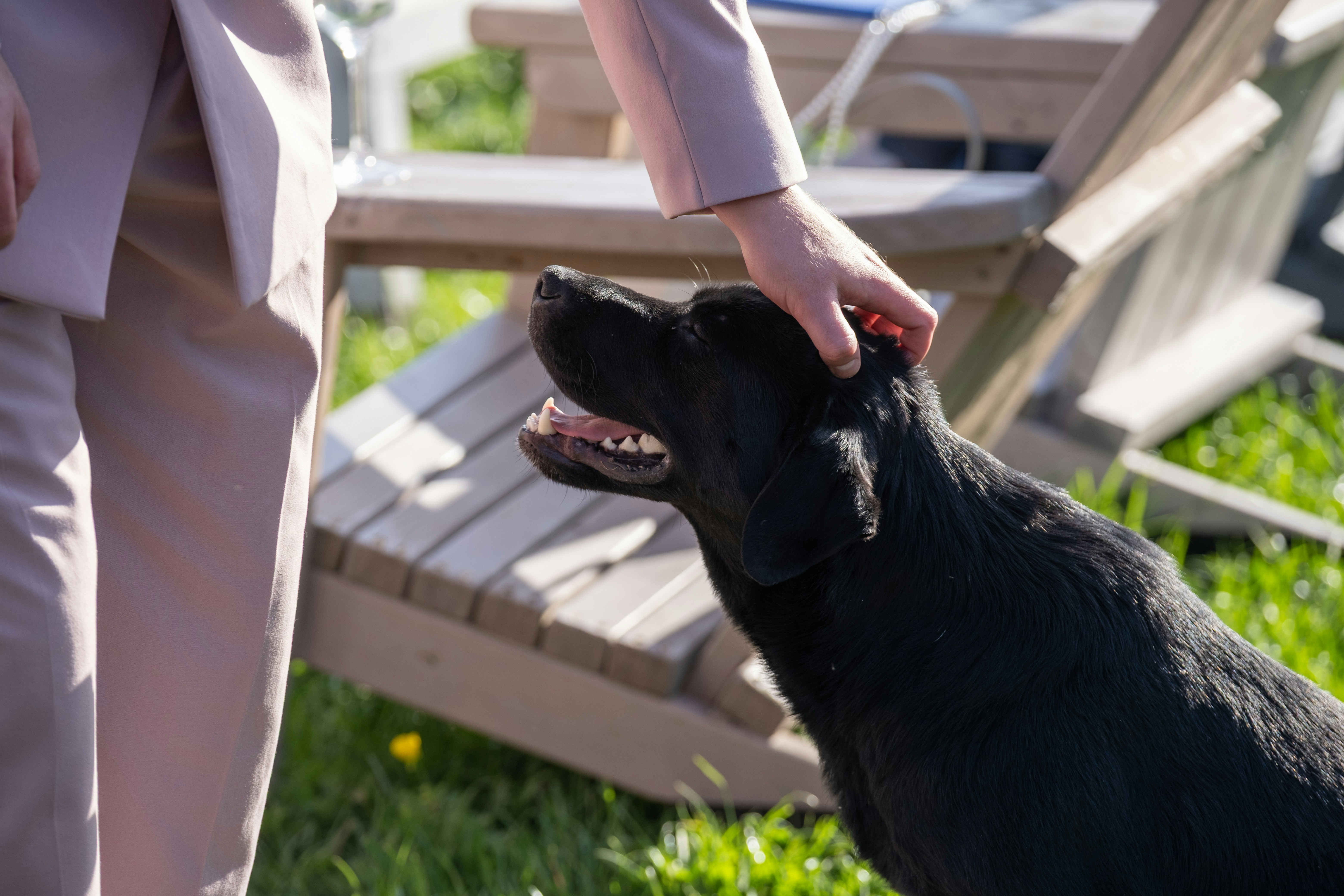 Photo by sergeymasle