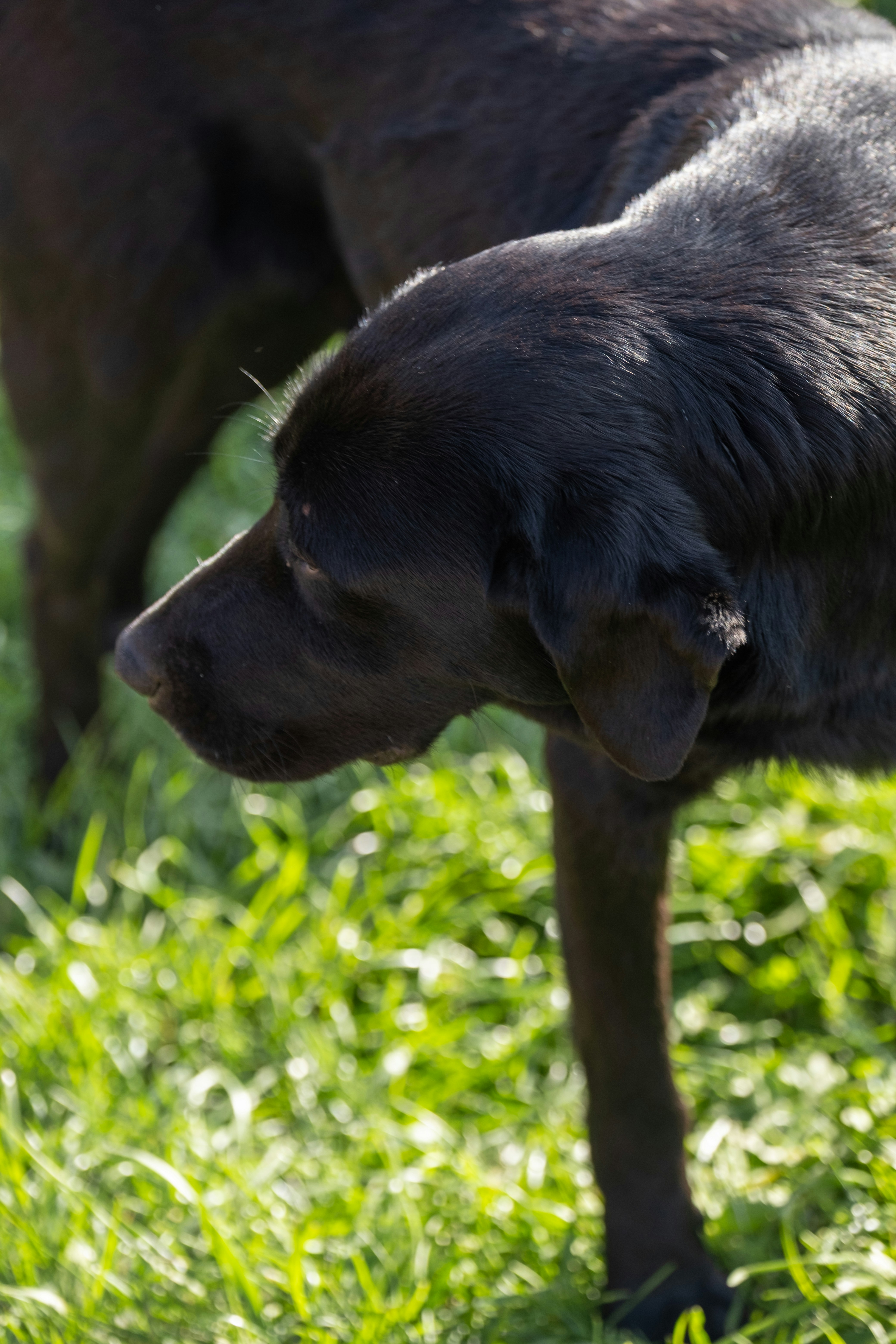 Photo by sergeymasle