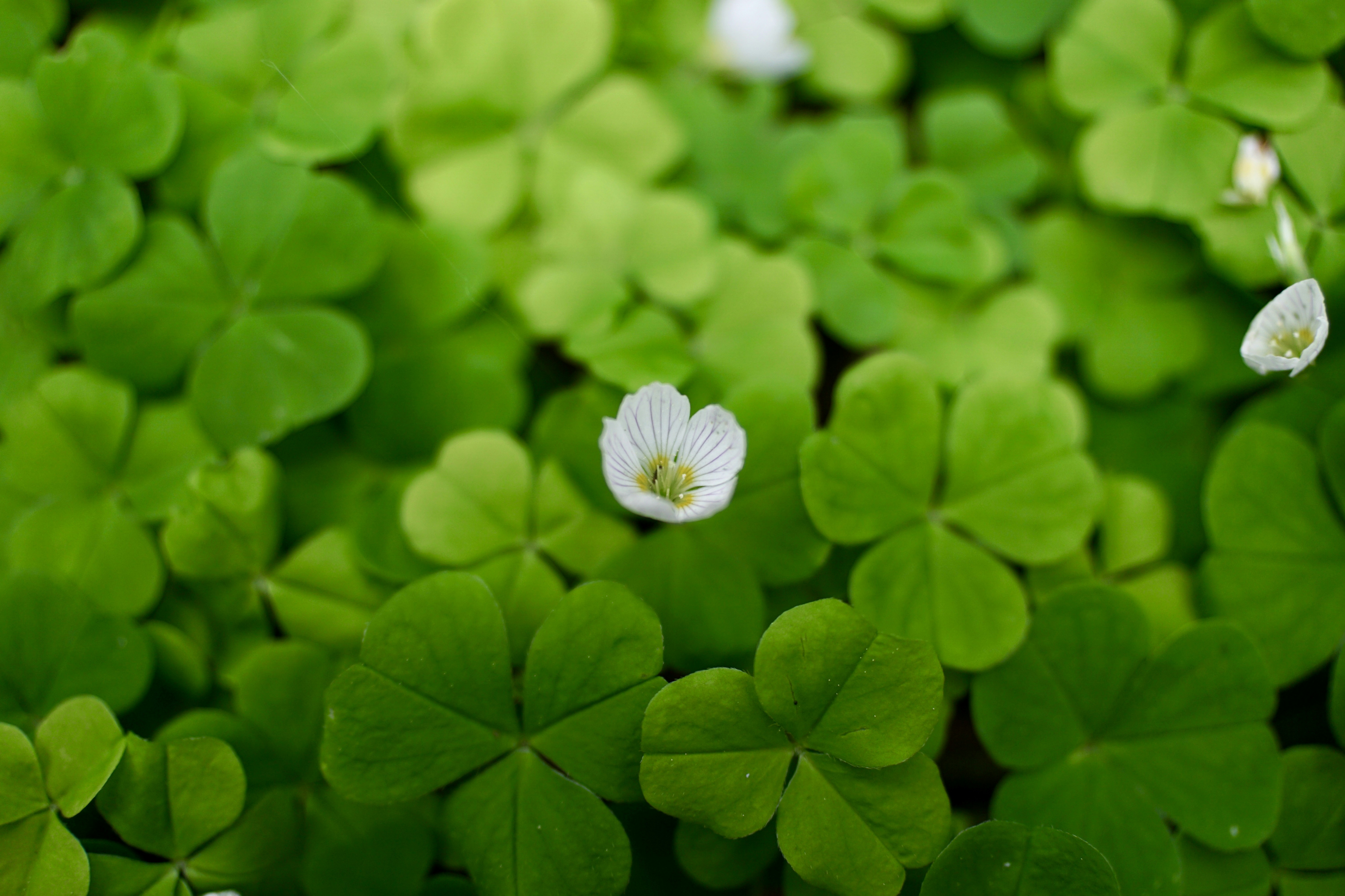 Photo by rikekoestlin