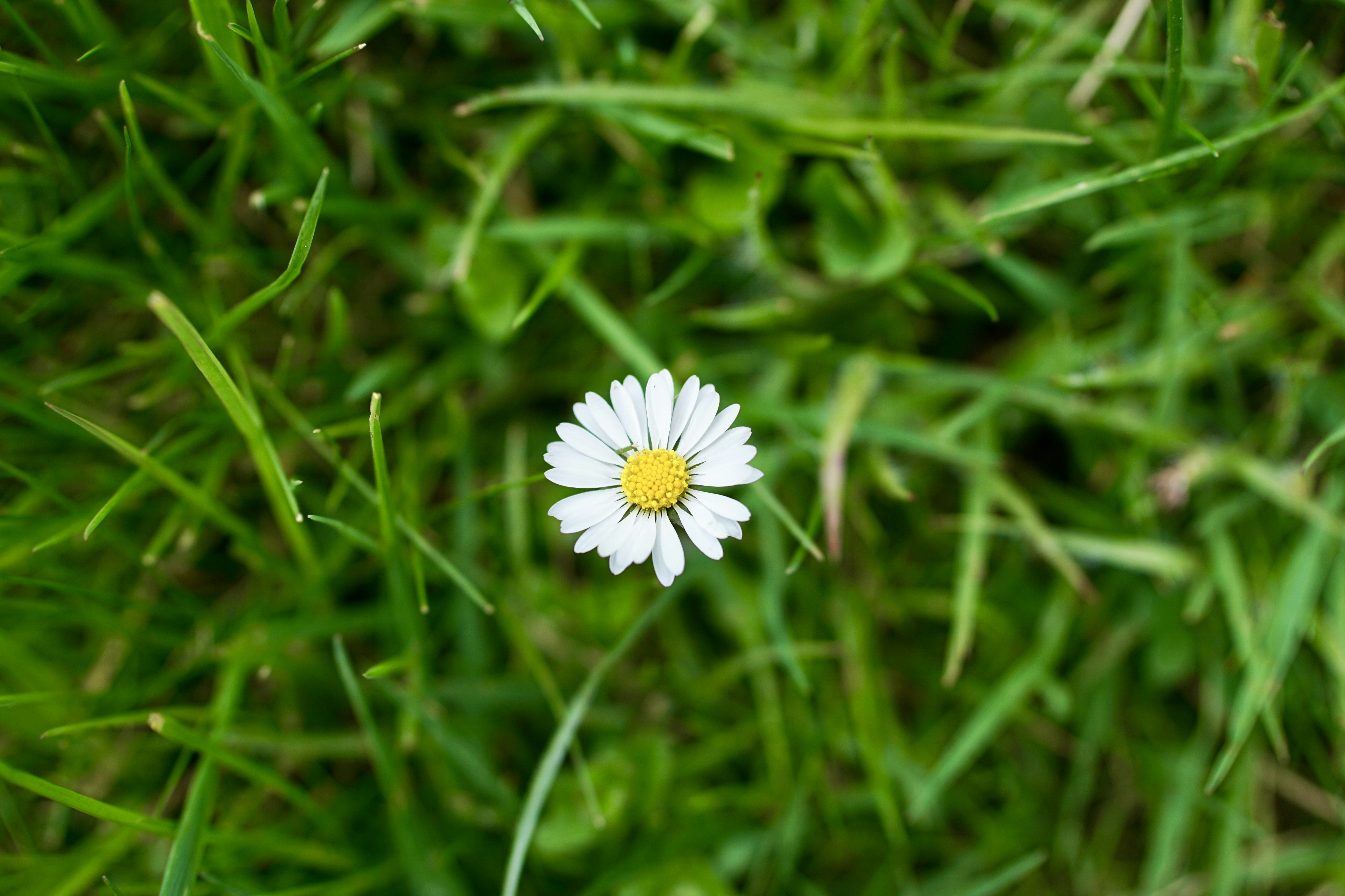 Photo by rikekoestlin