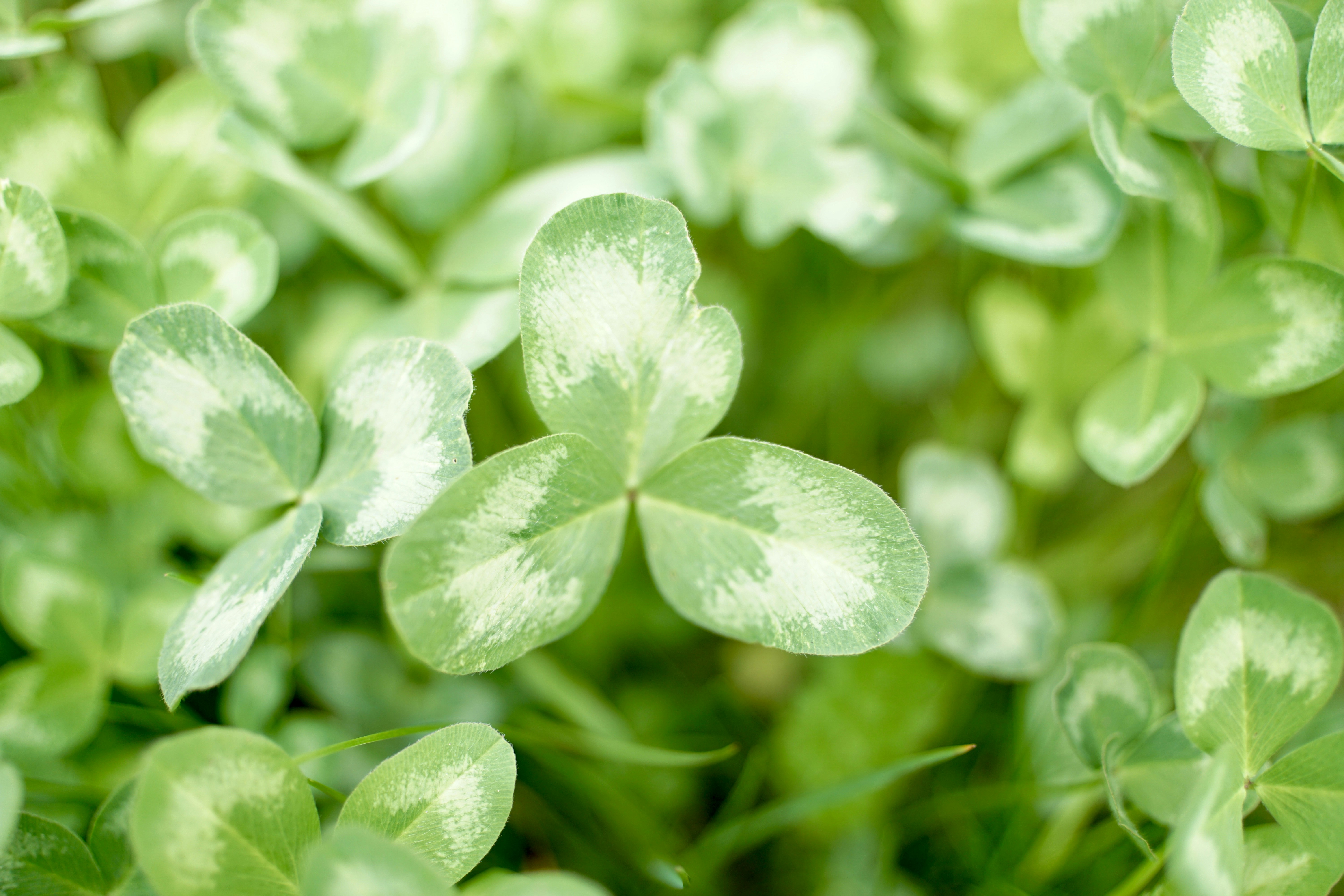 Photo by rikekoestlin