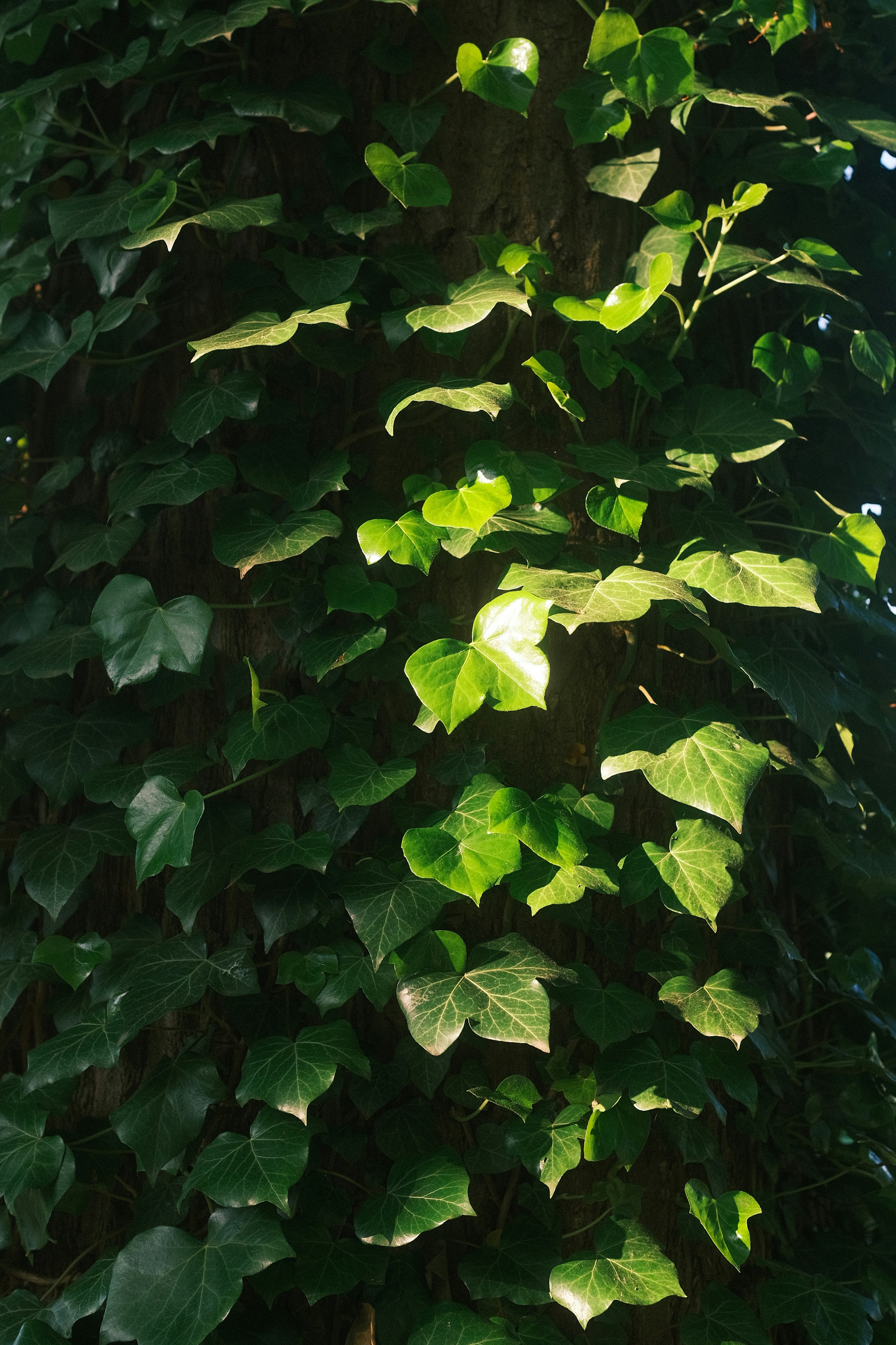 Photo by visualsbying