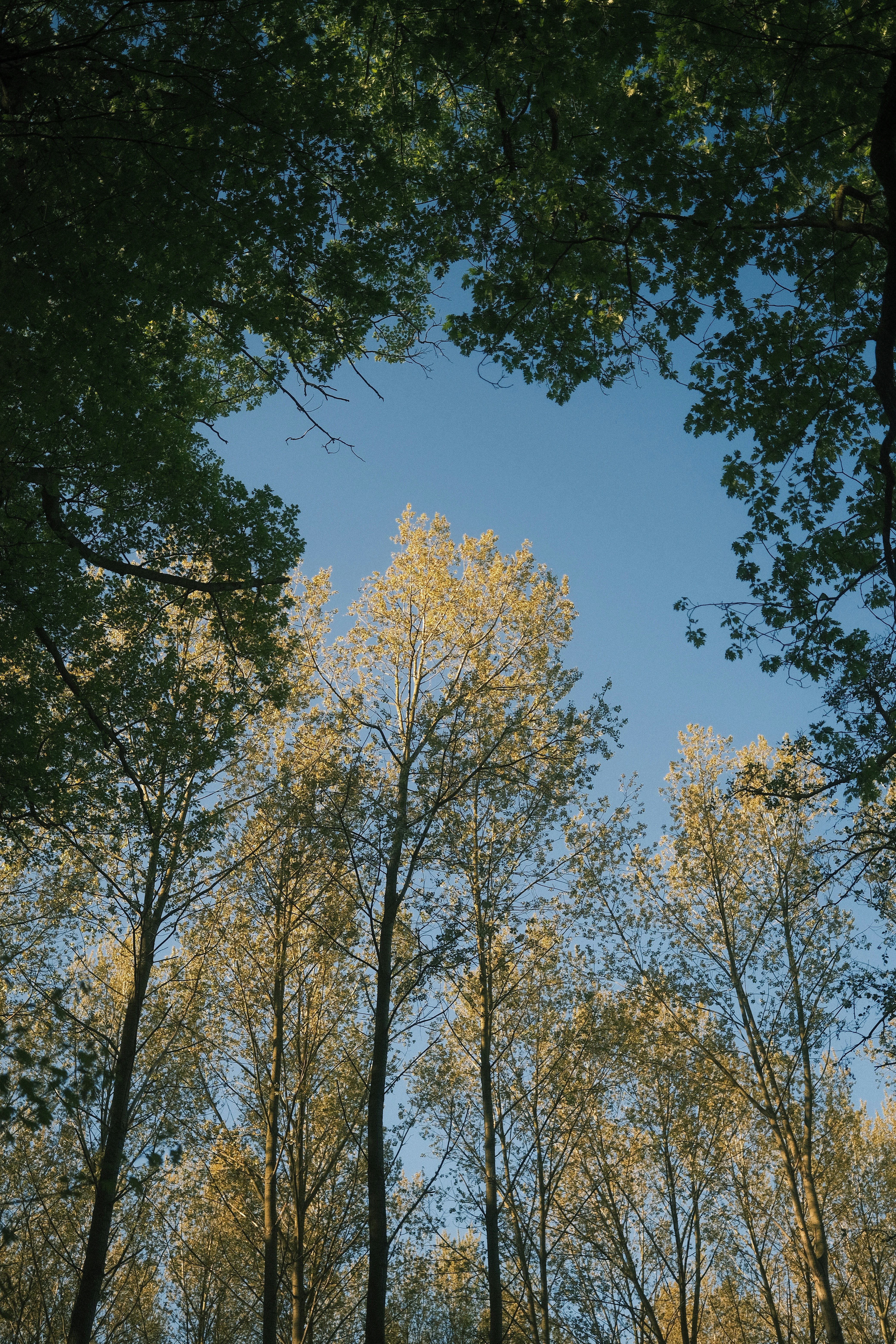 Photo by visualsbying