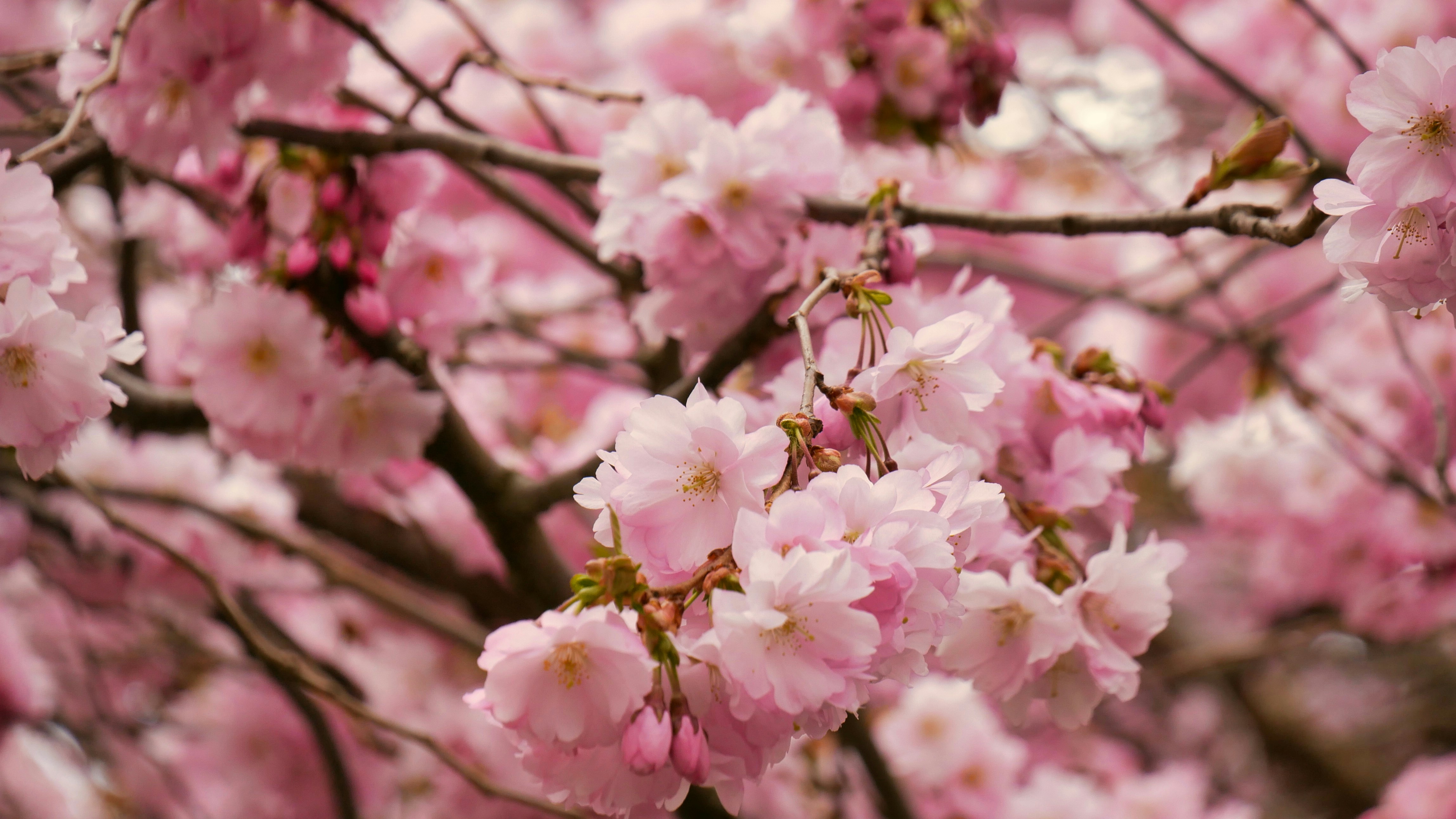 Photo by route2tushar